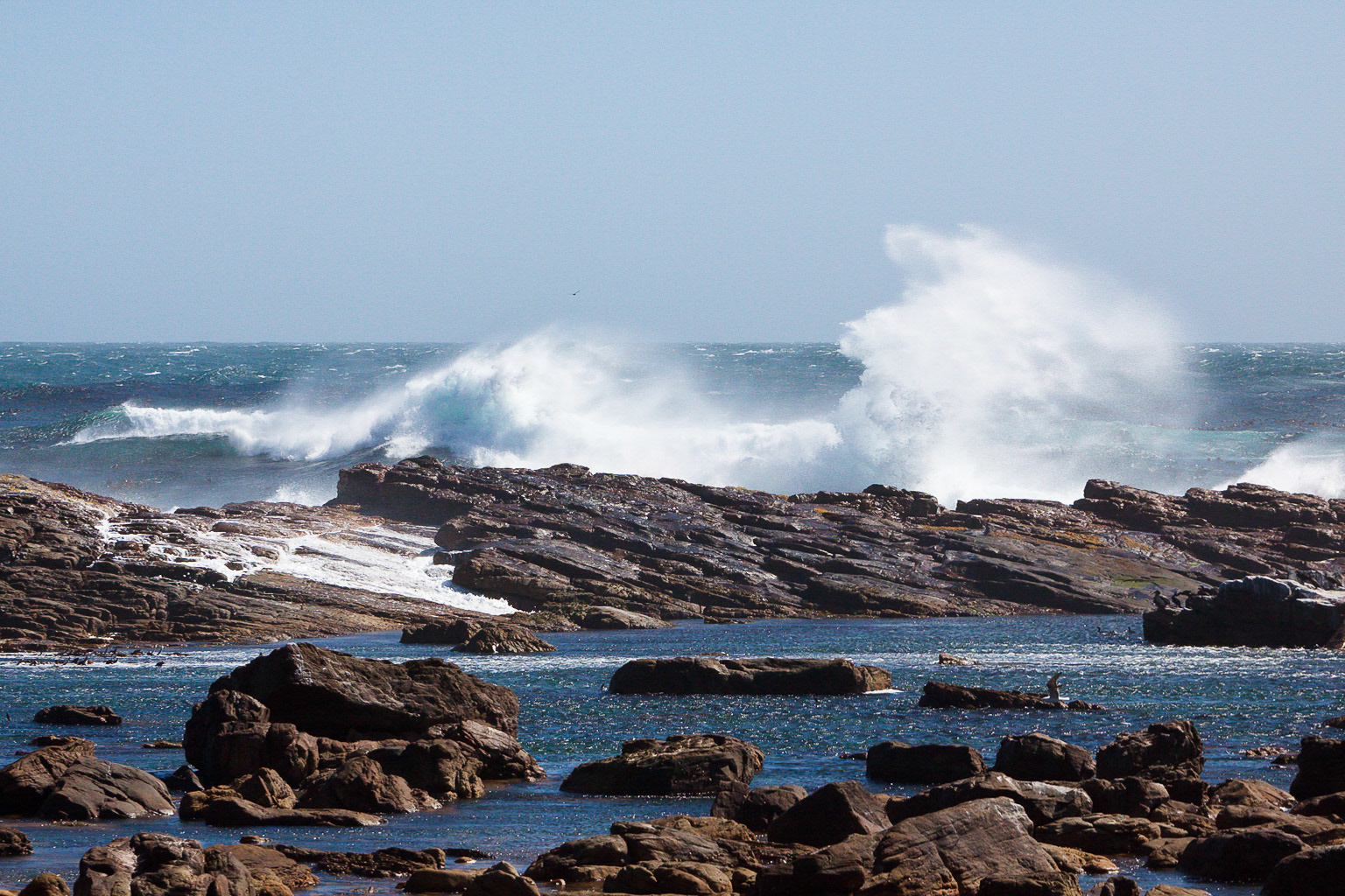 Coast