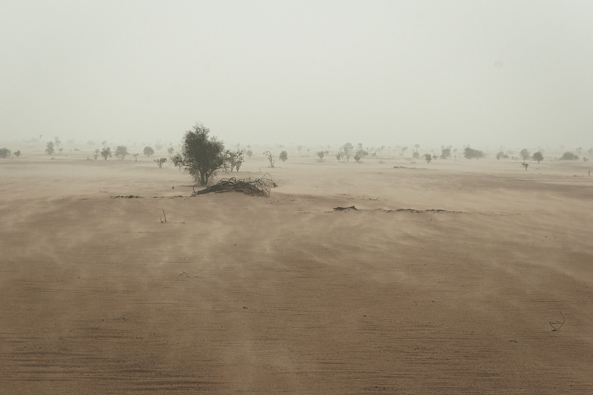 Not yet a real sandstorm