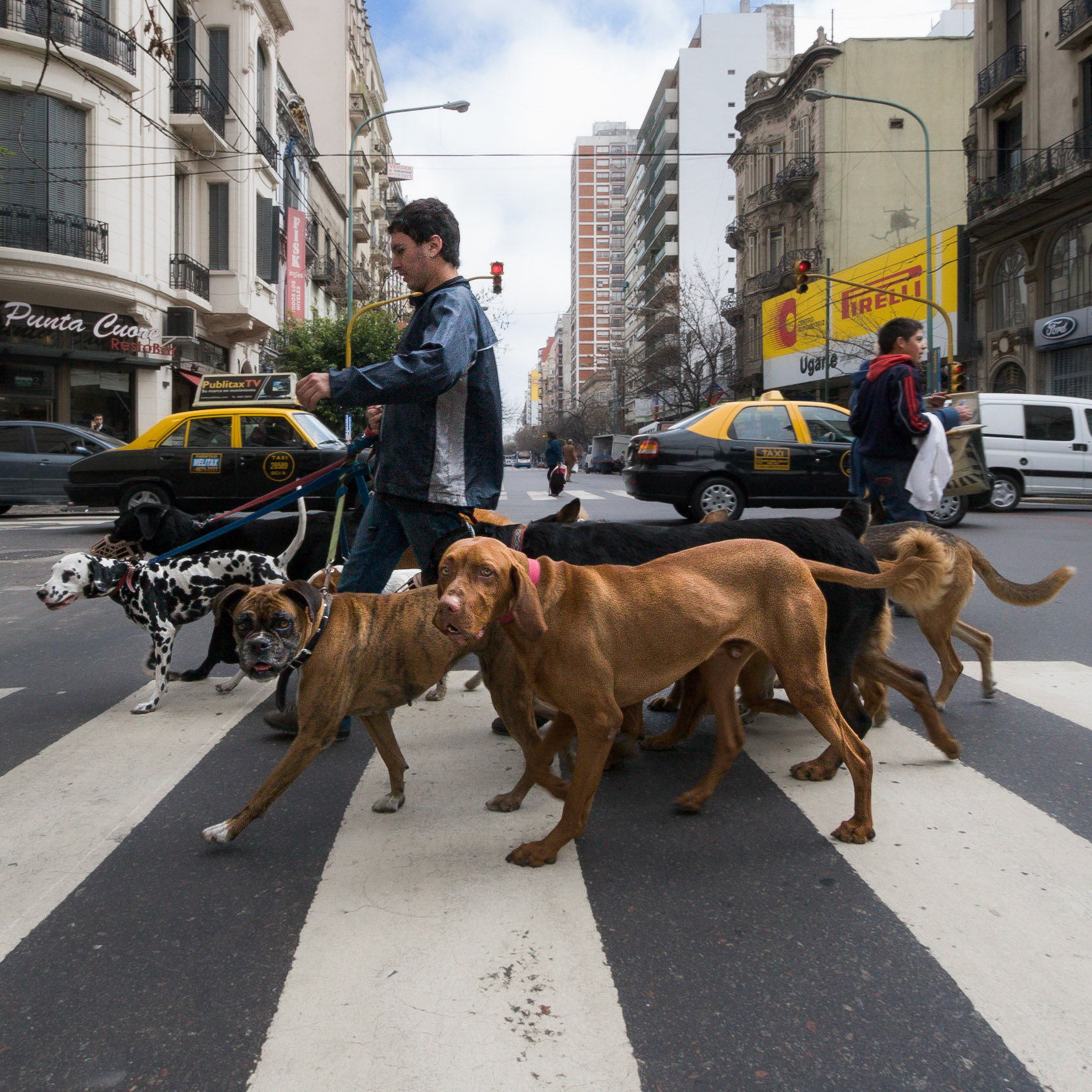 Buenos Aires, walking the dogs