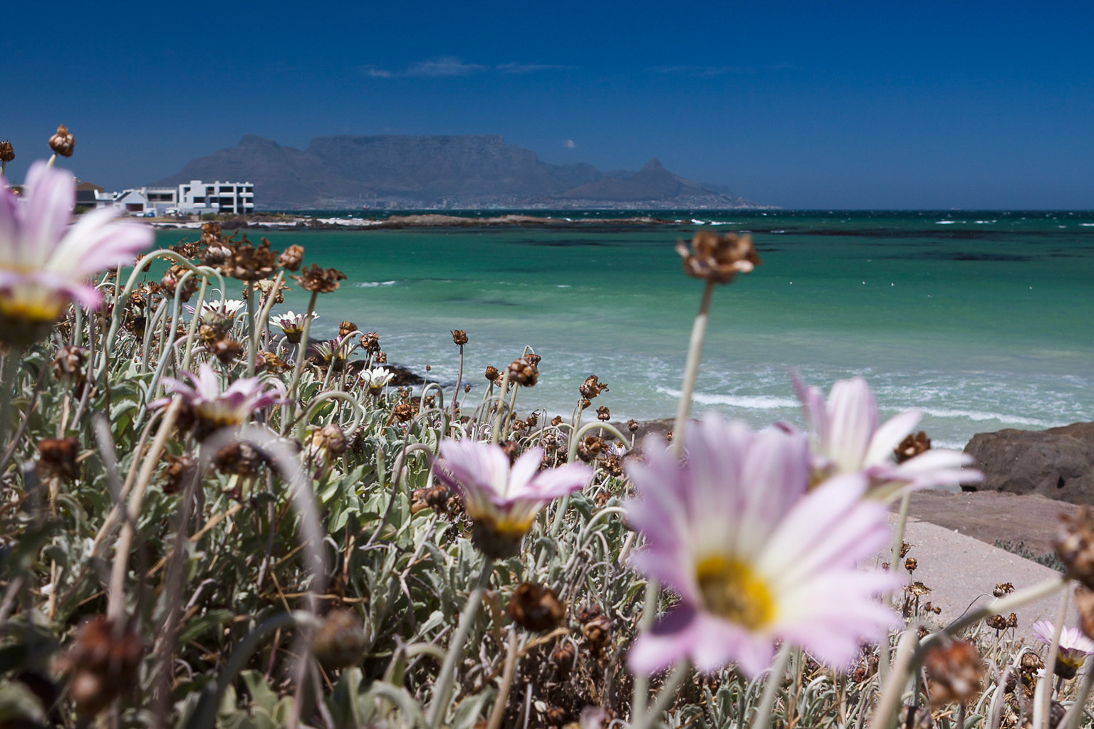 View to Capetown