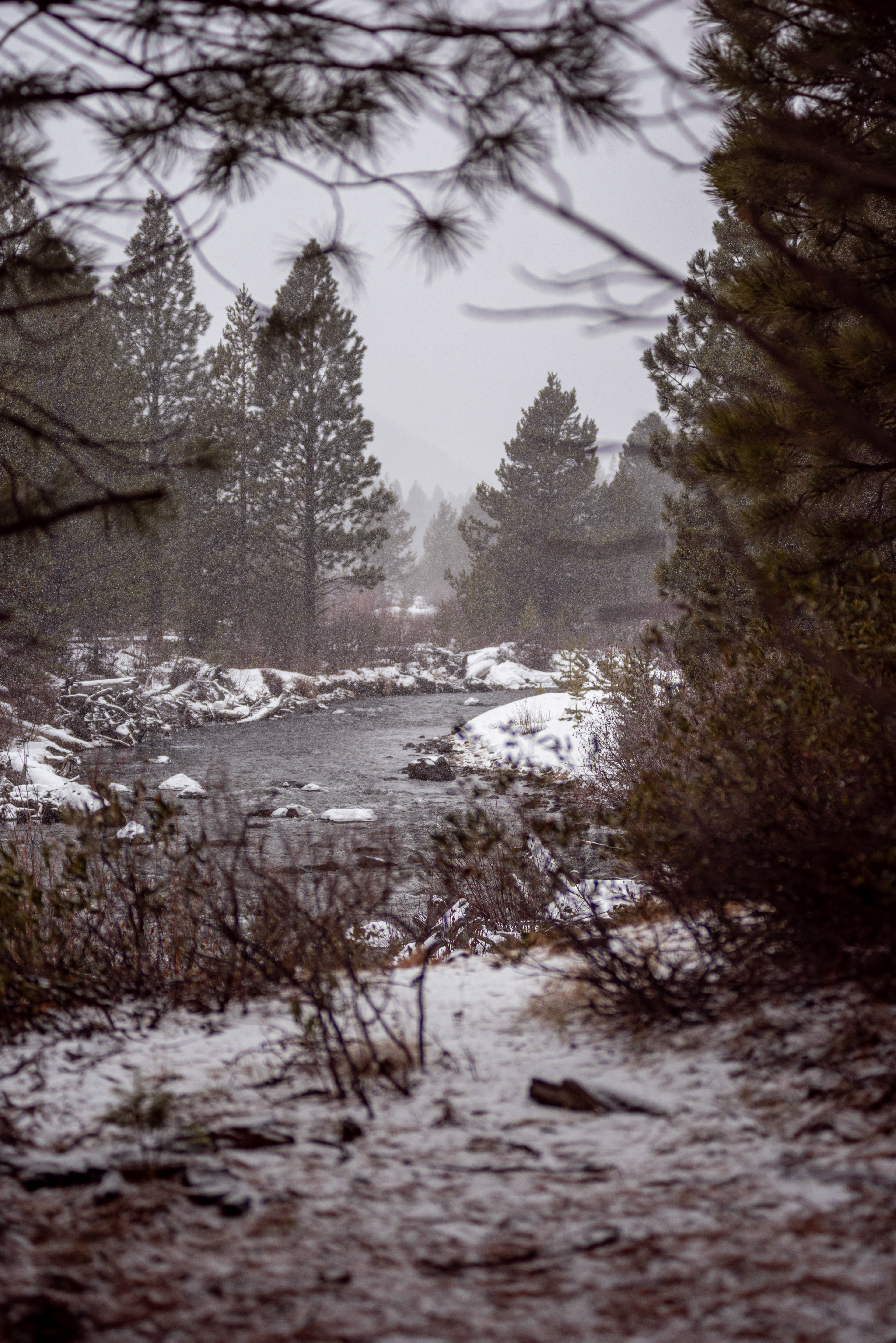 Tumalo Falls, Oregon, 2020
