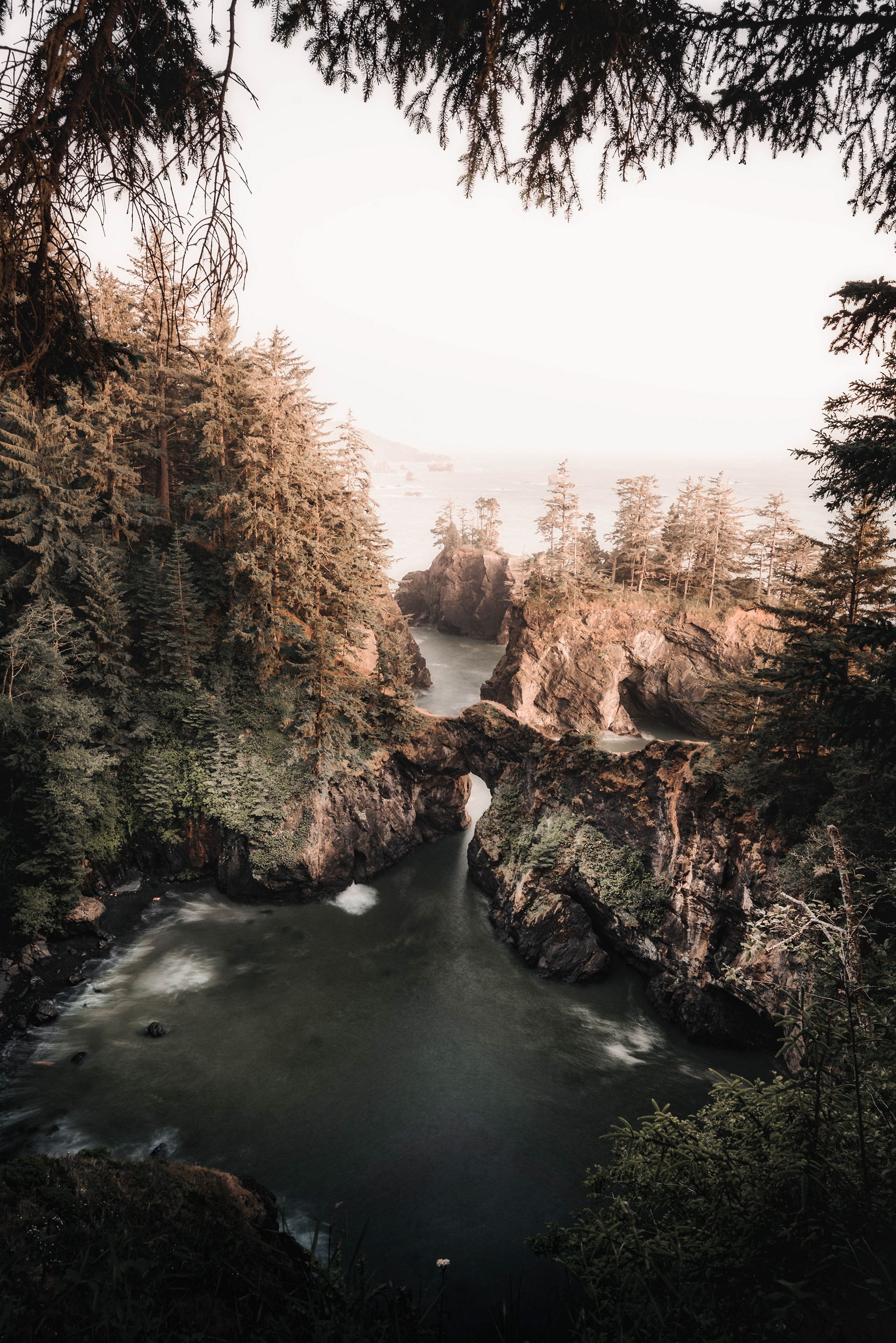 Samuel H. Boardman State Scenic Corridor, 2021