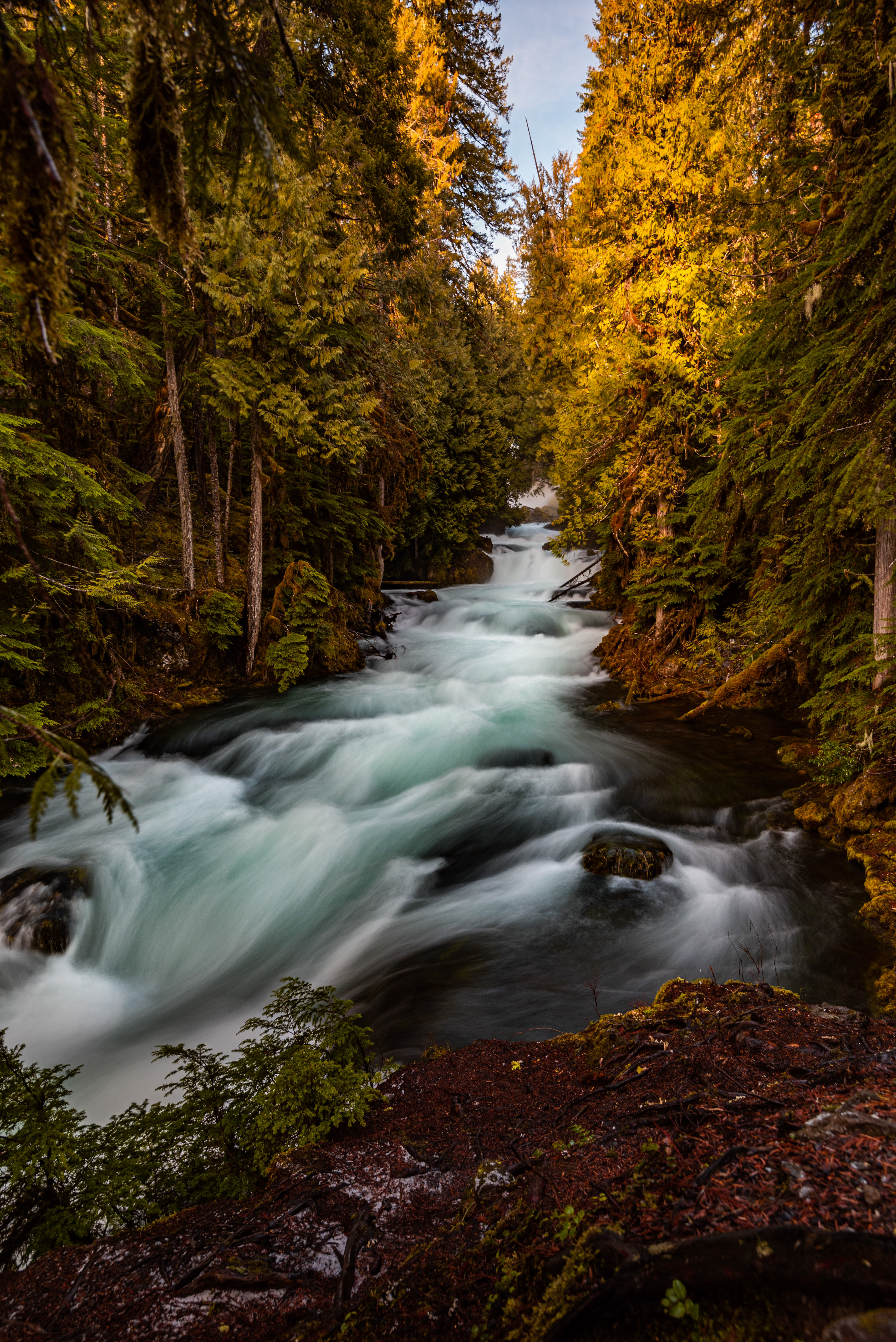 Sahalie Falls, Oregon, 2020