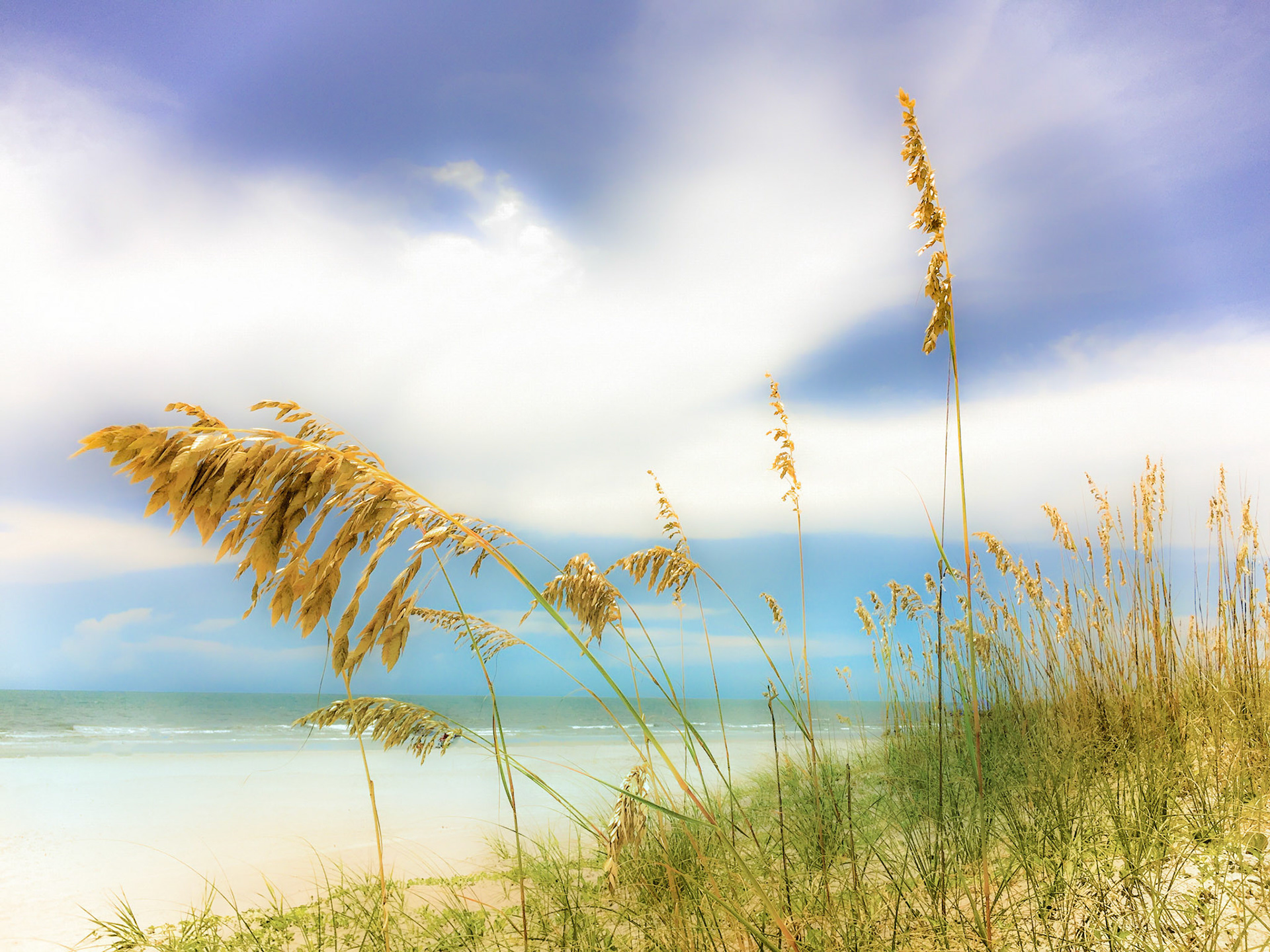 Coastal light