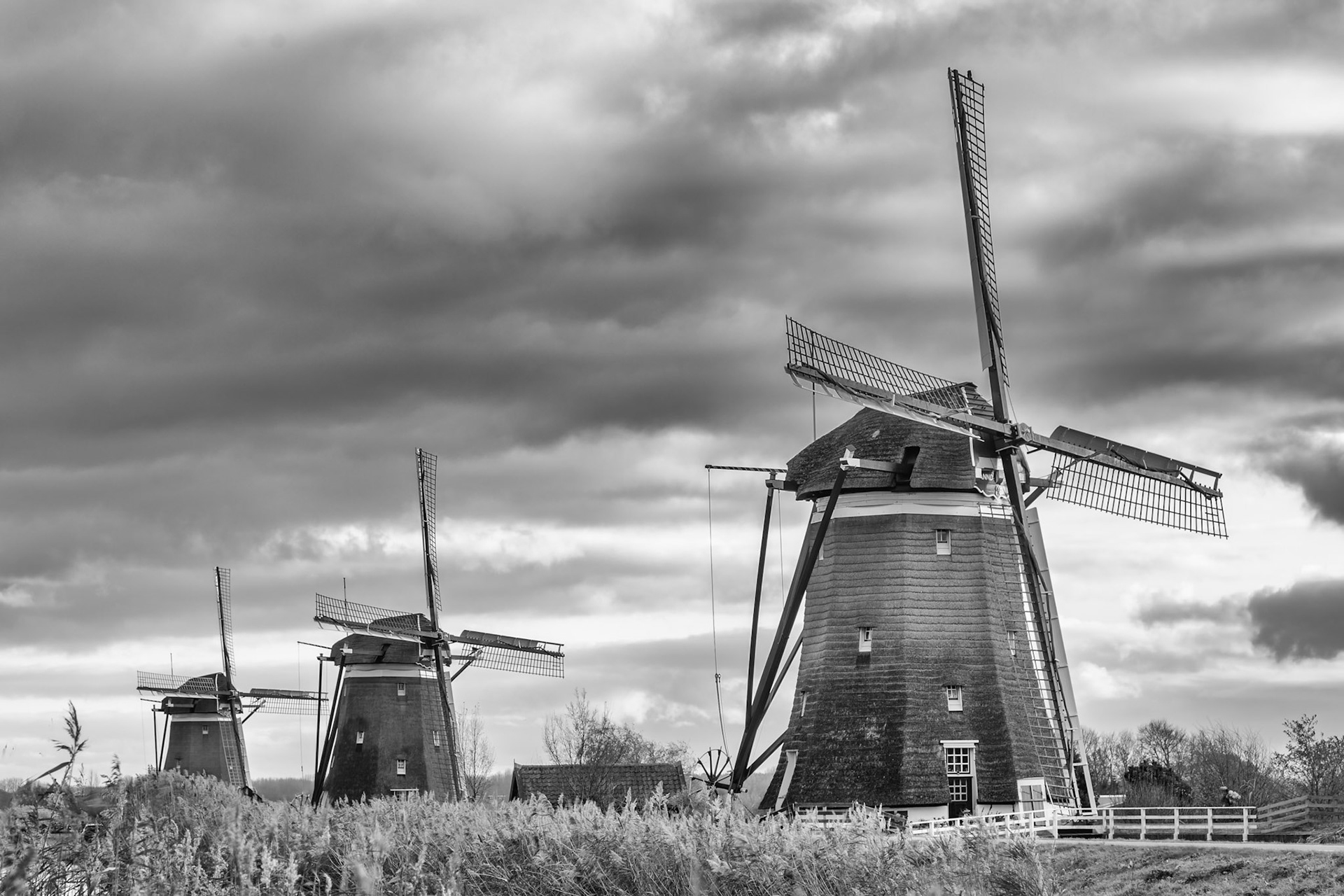 Wind and structure