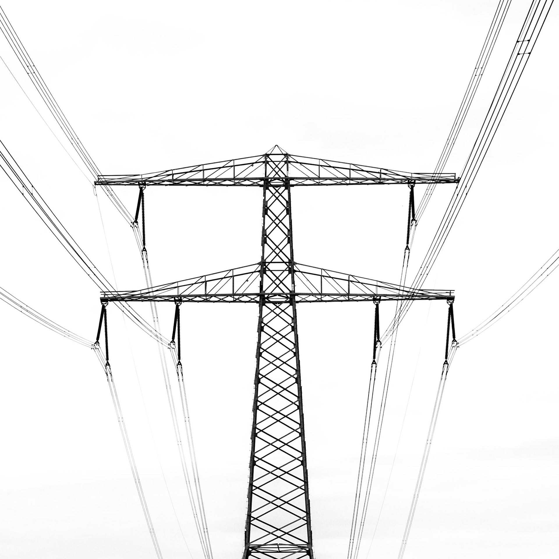 Lines