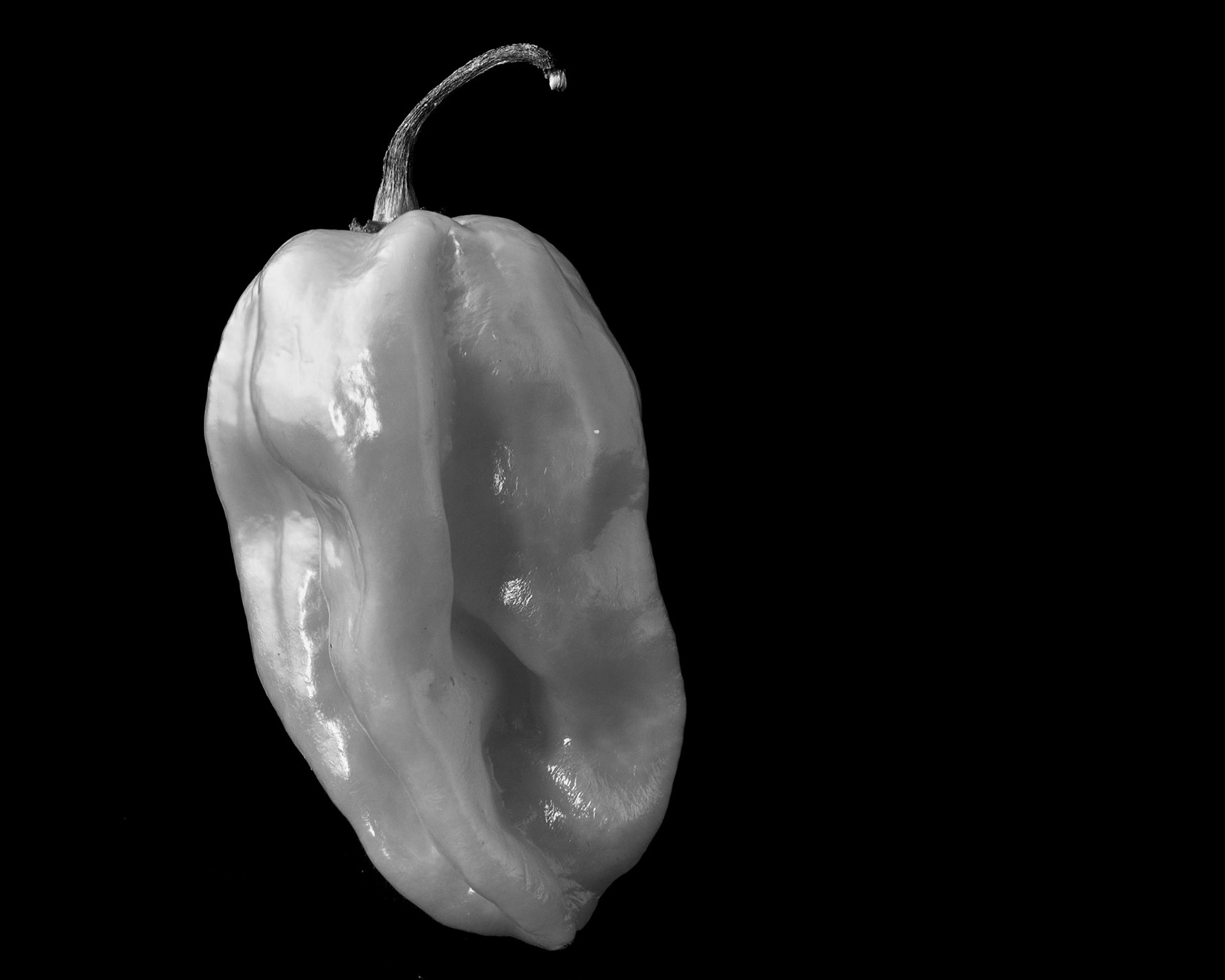 Pepper III