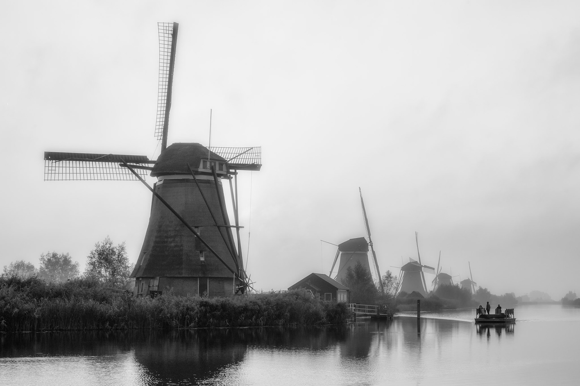 Misty morning