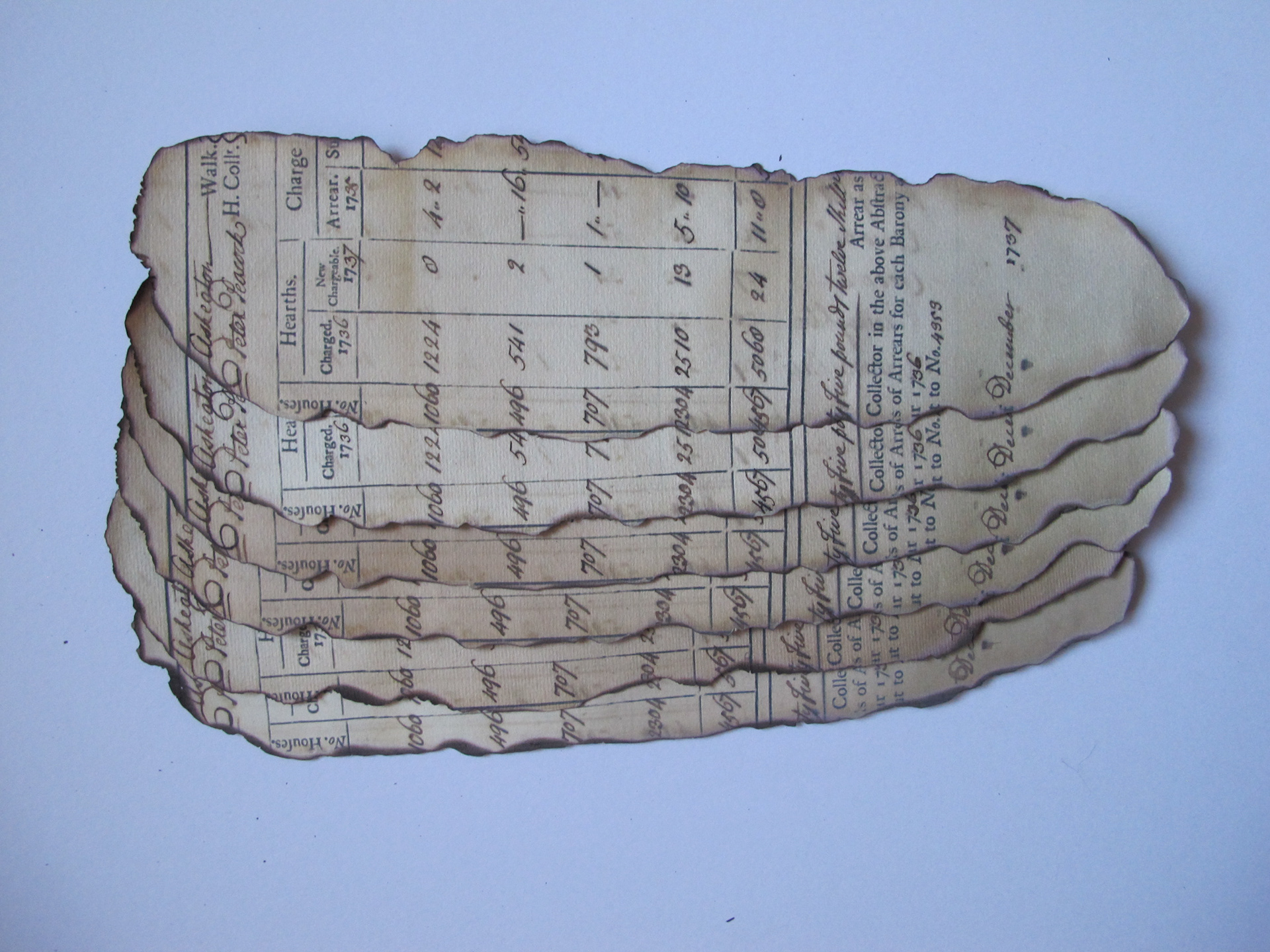 Repeat Reproductions