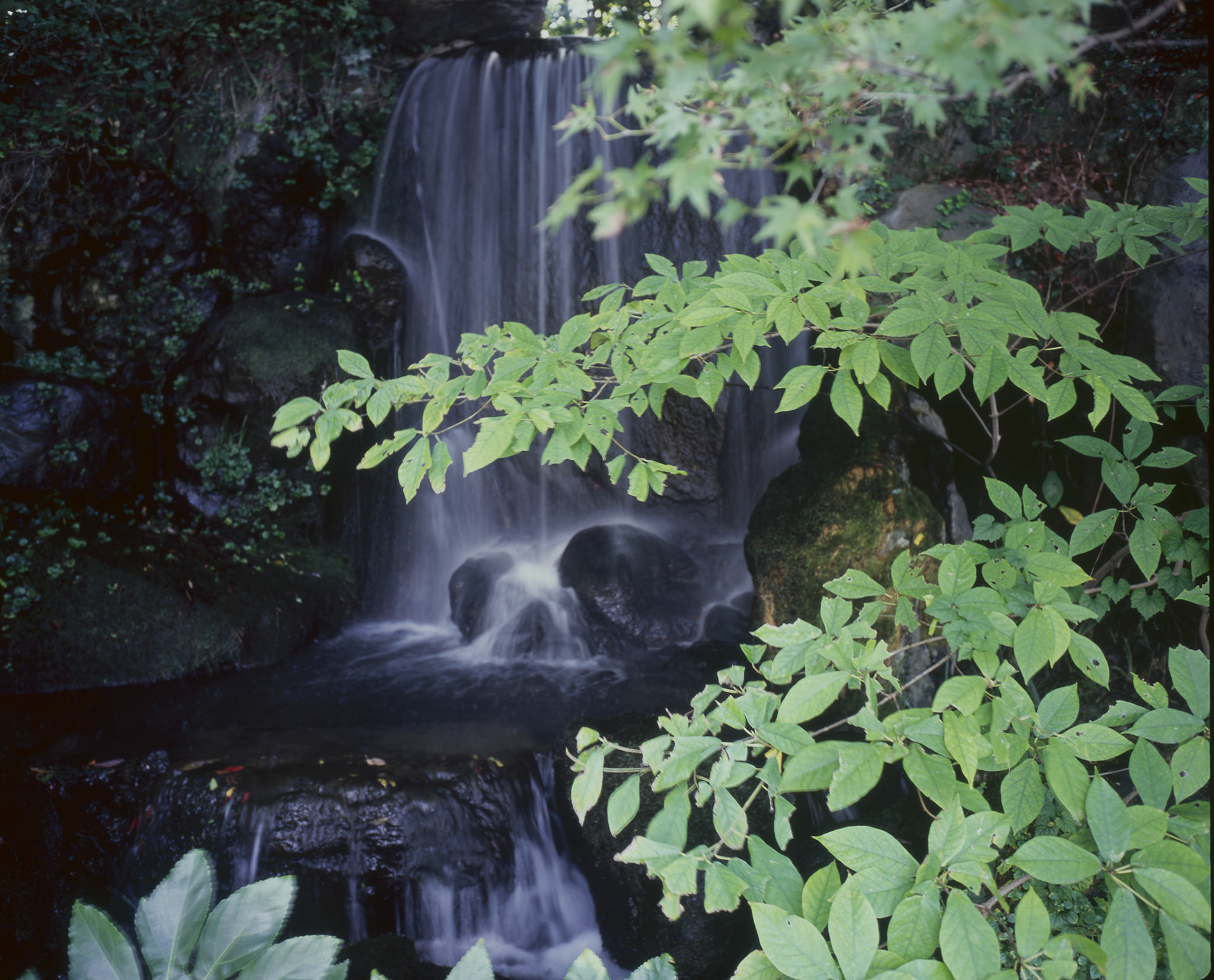 Plaubel Makina W67
