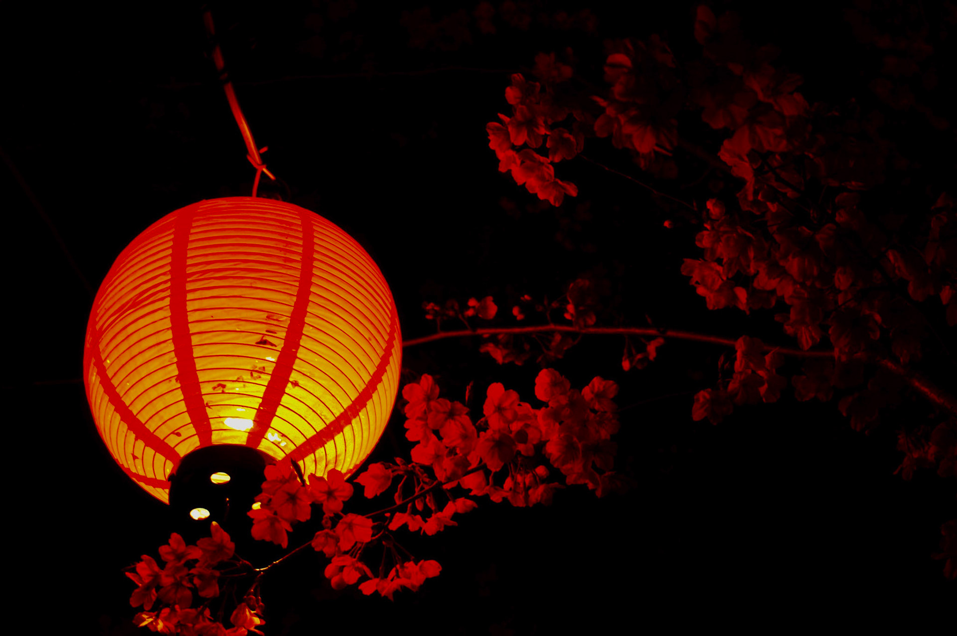 α7 Digital