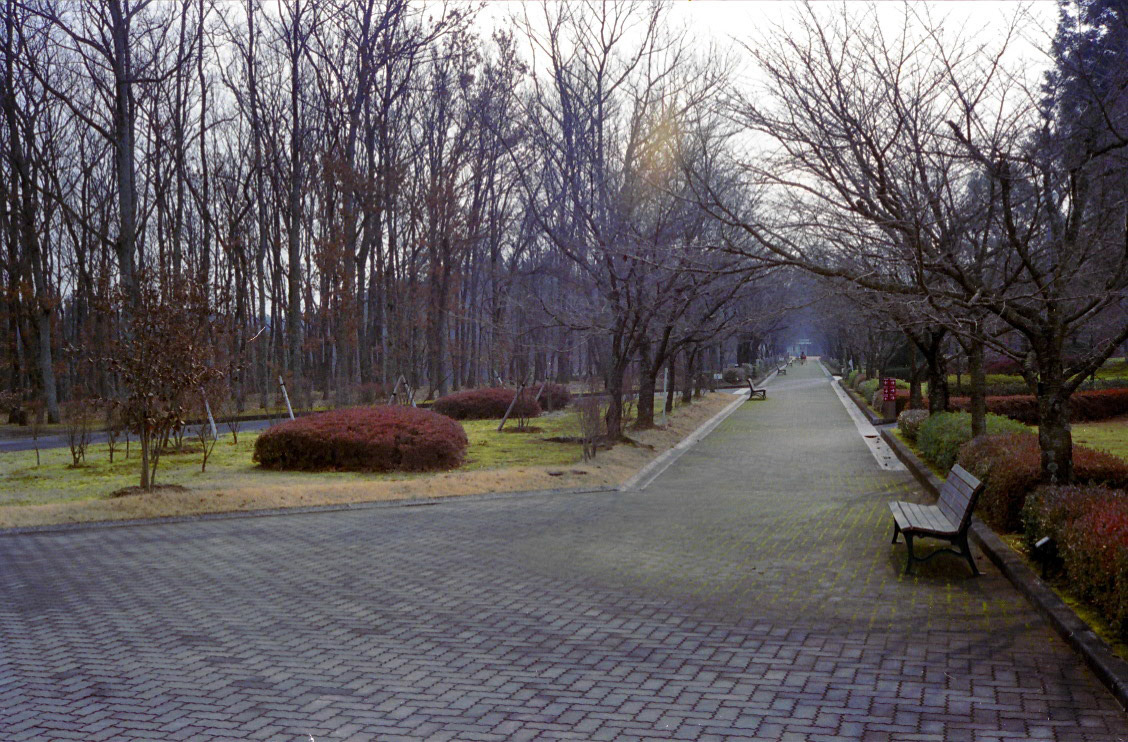 Canonet QL17