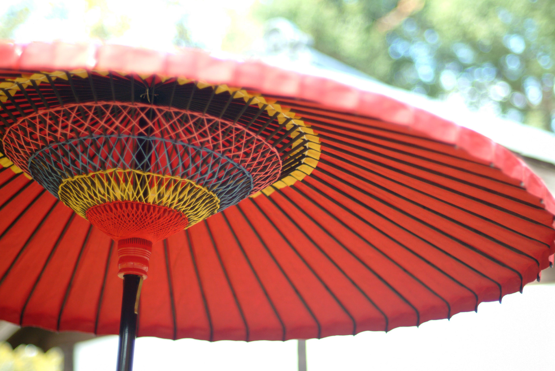 FinePix S2 Pro