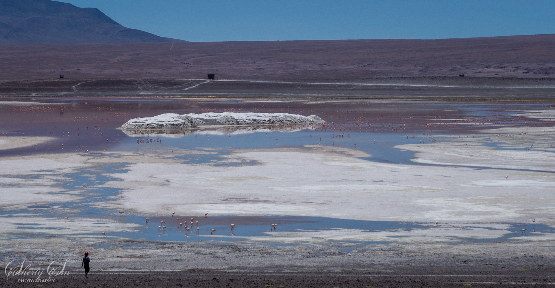 Saltberg in the middle of a flamingo lake