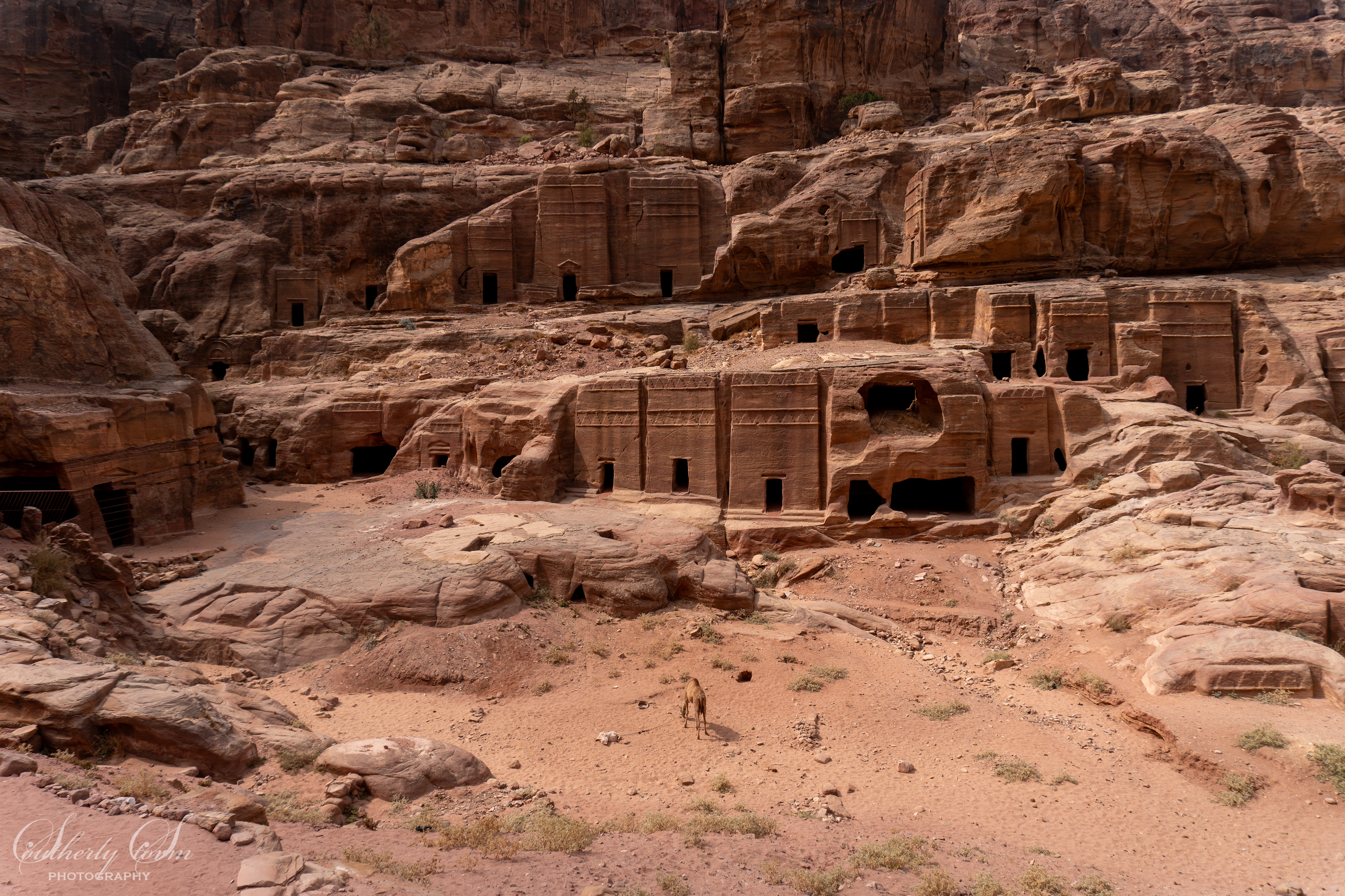 Petra