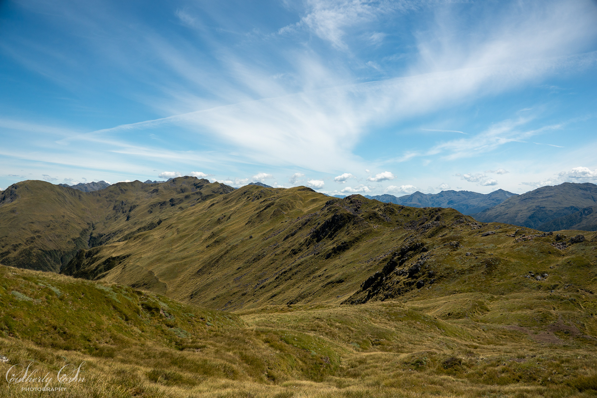 Tussock tops