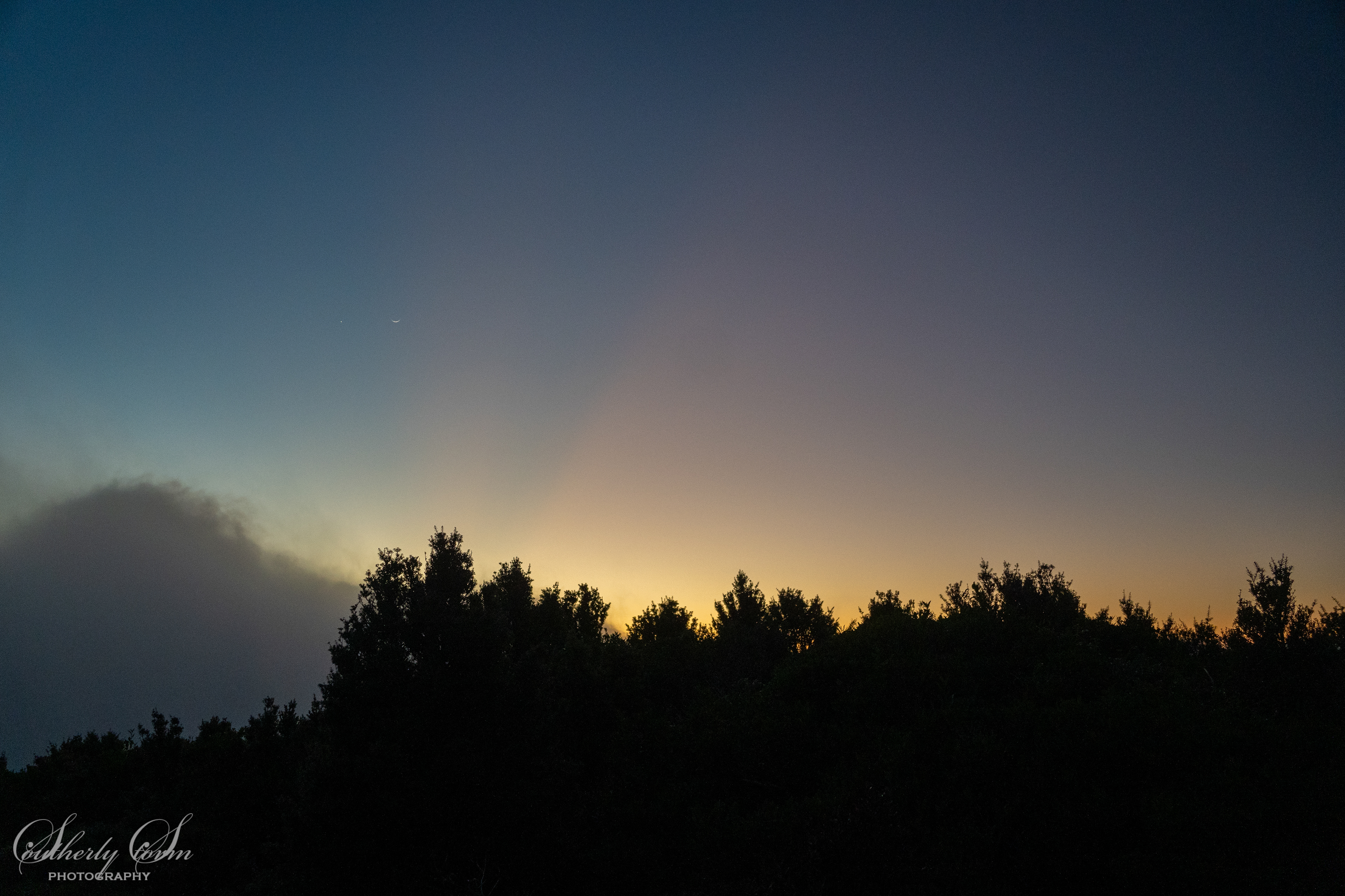 Last rays of light over the trees