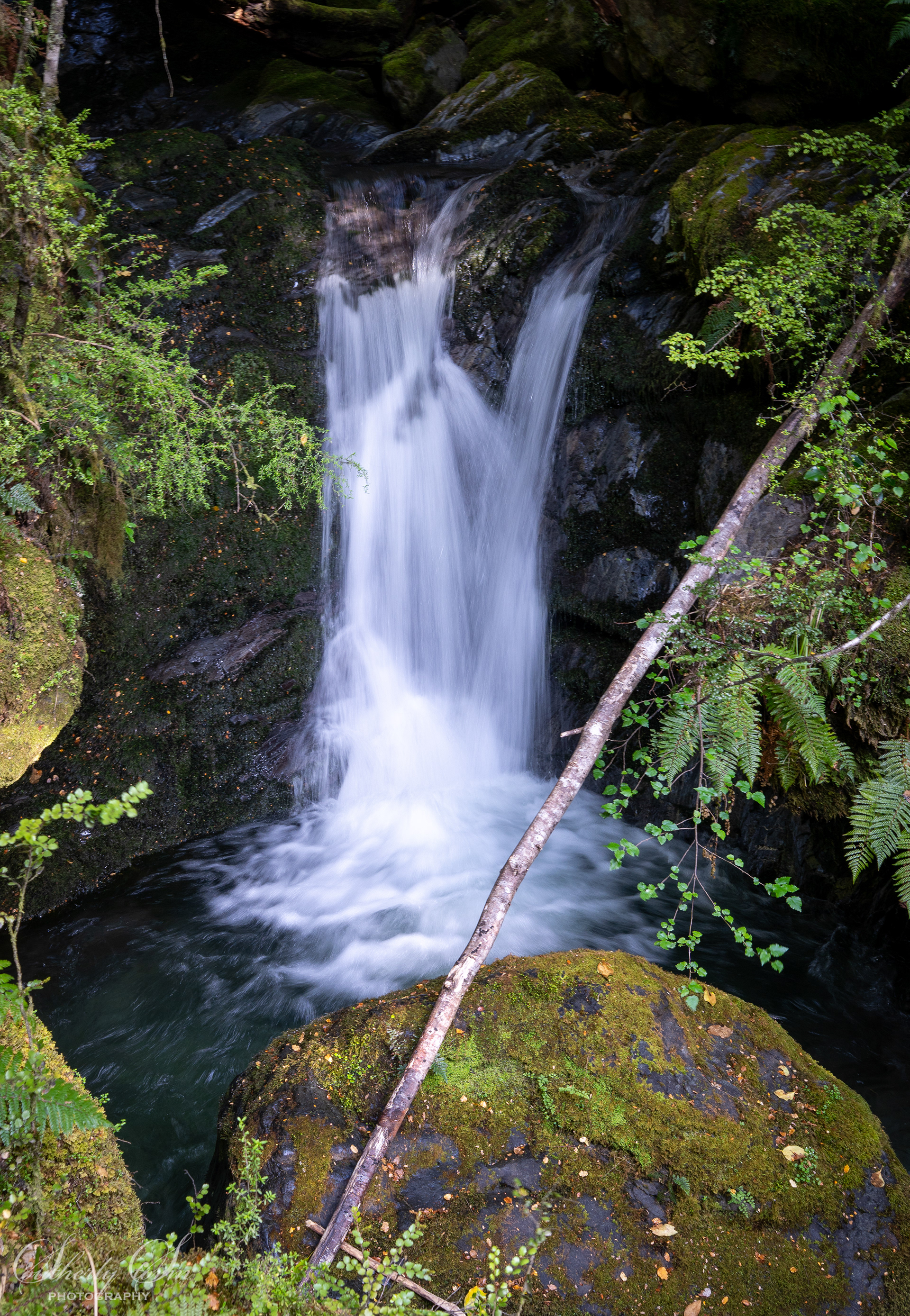 Waterfall Greenstone Valley