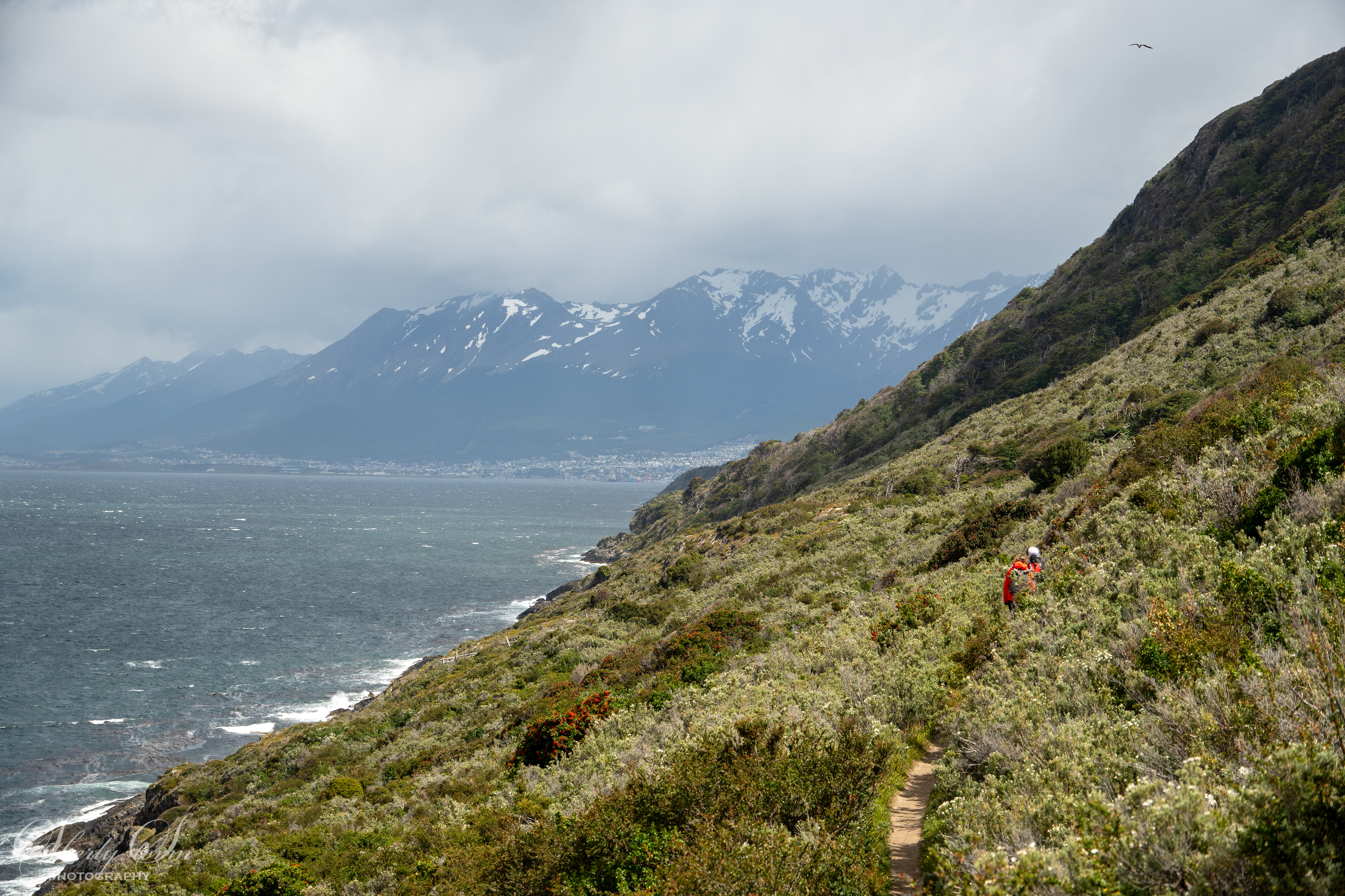 Ushuaia coast