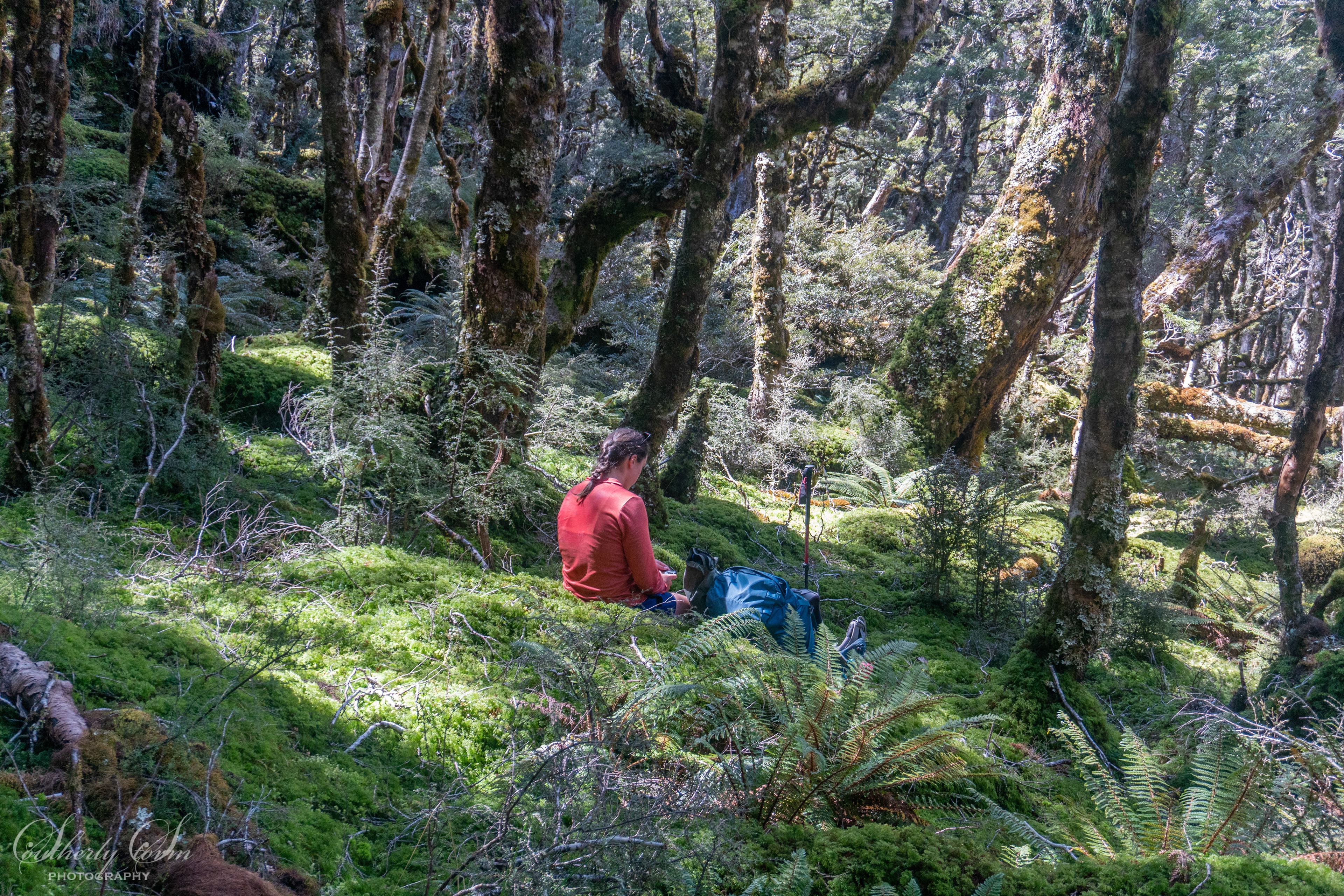 Tramping sitting in mossy forest