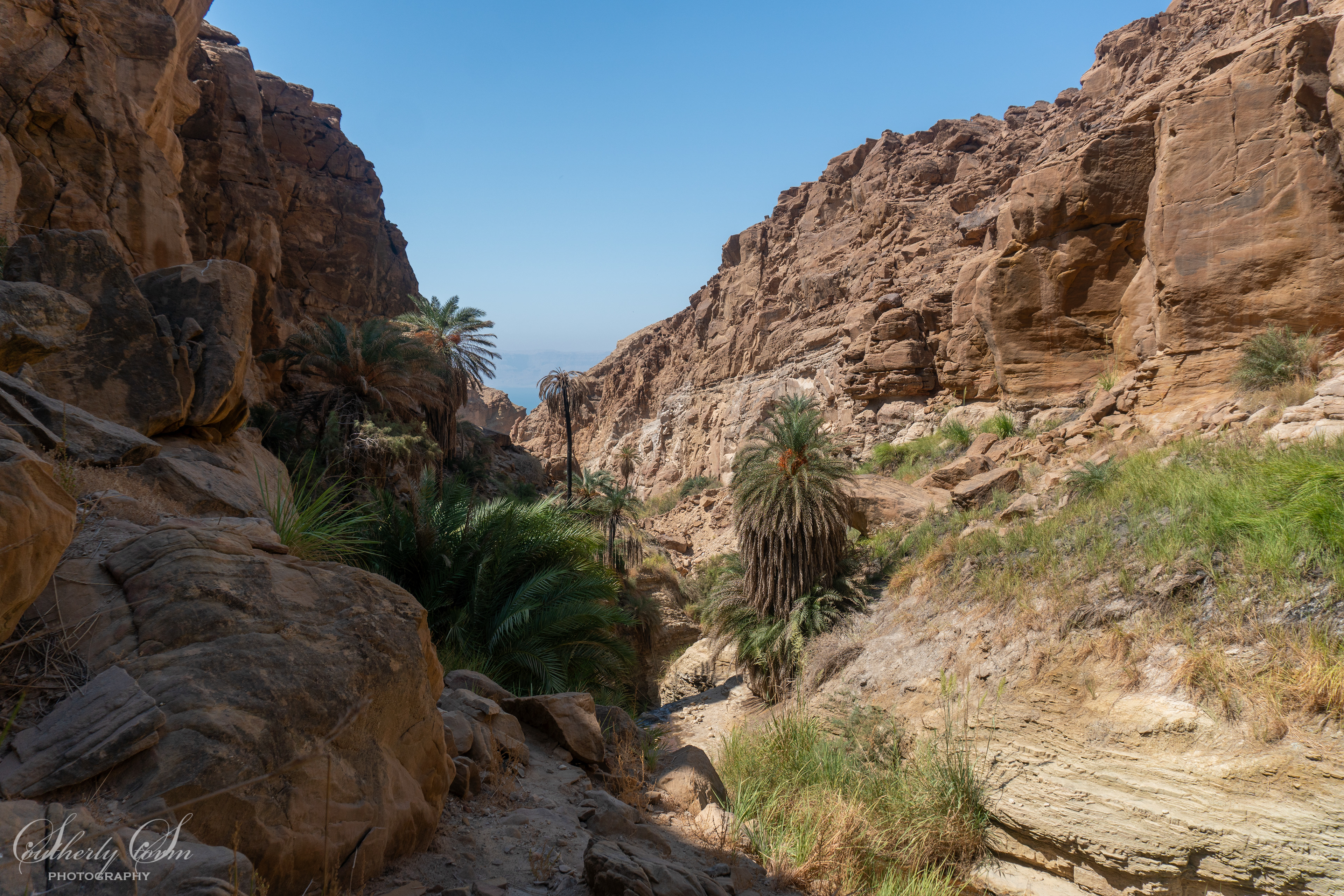Wadi in Jordan