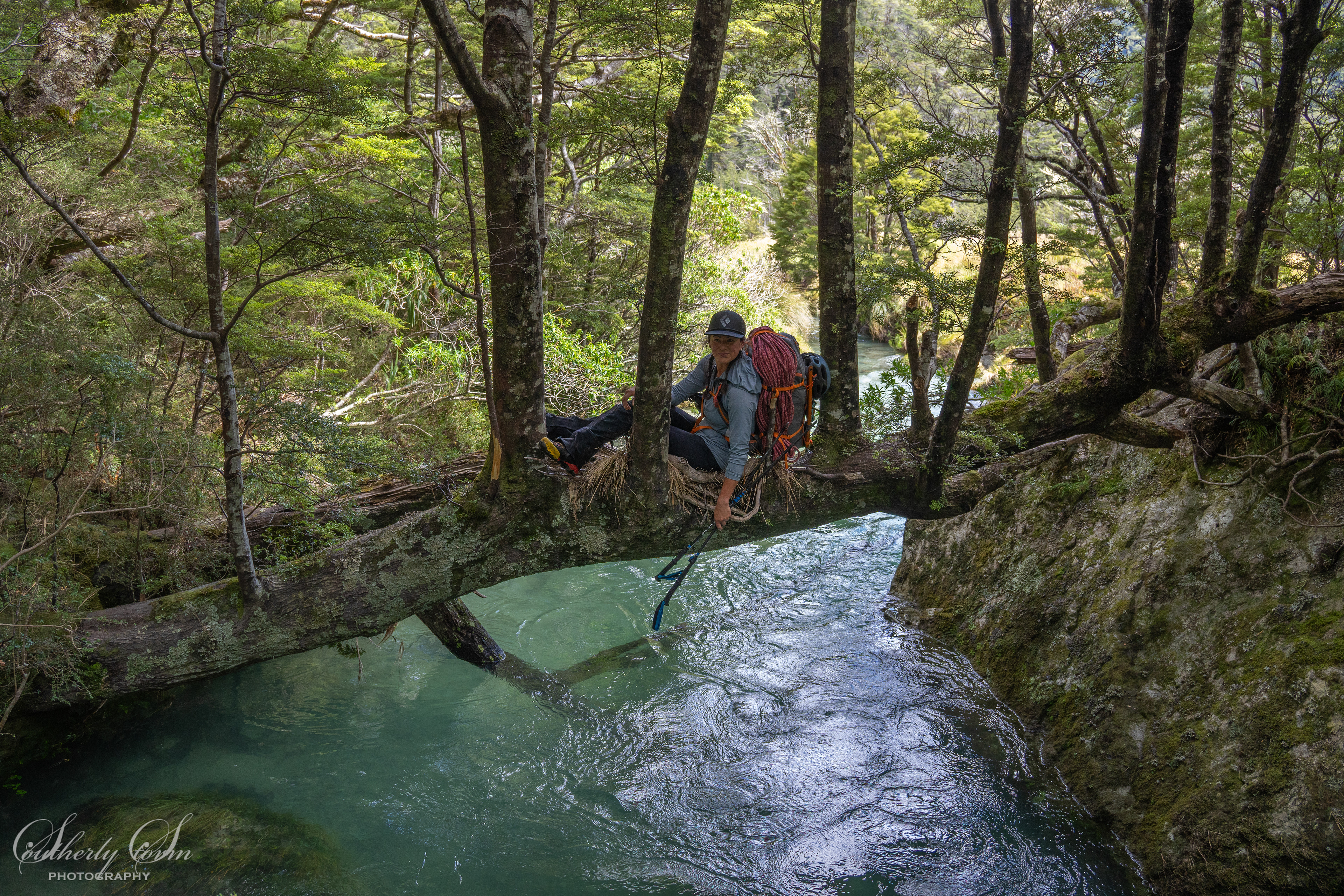 Sooji relaxing on a natural bridge in the Rockburn