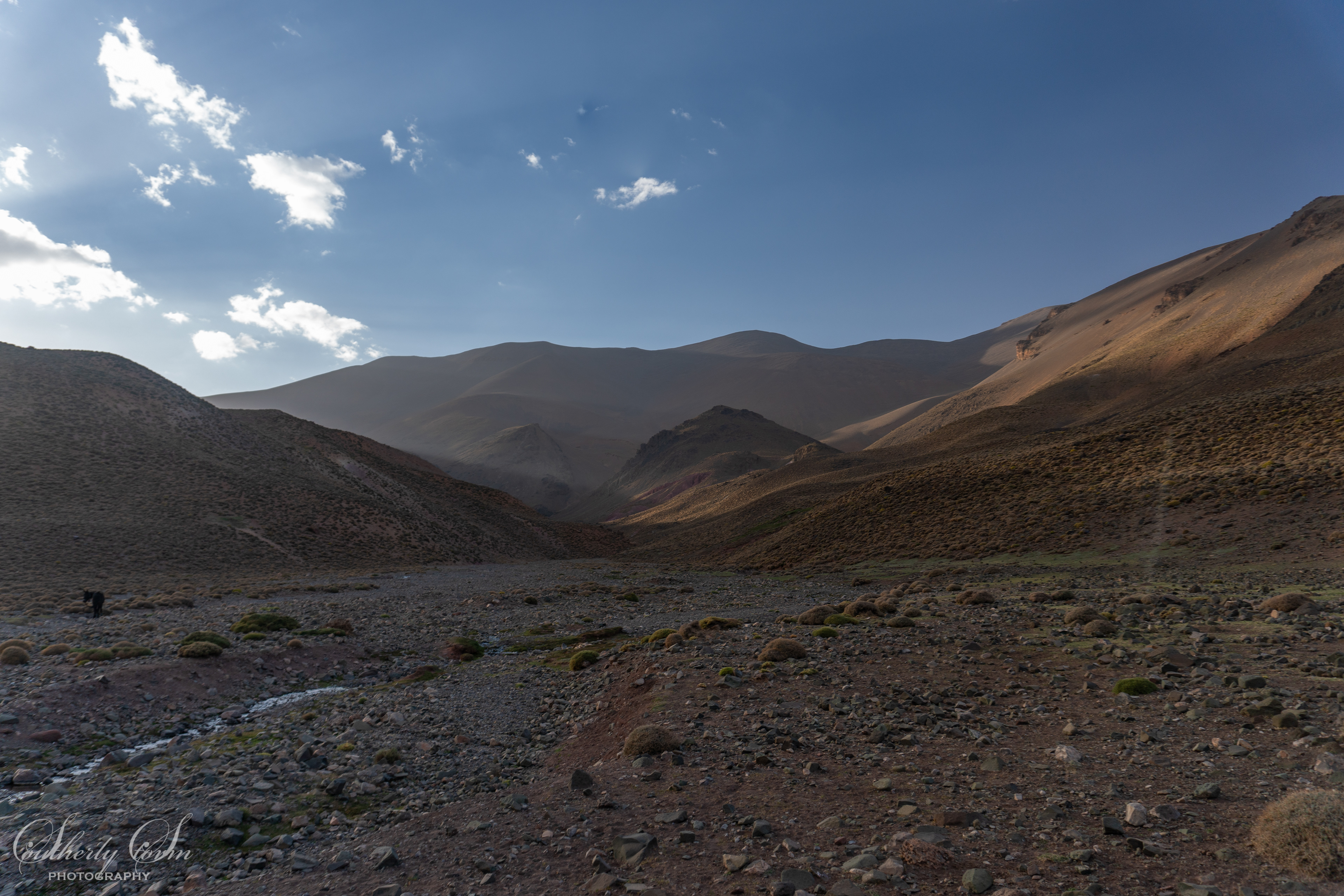 Evening light in Morocco