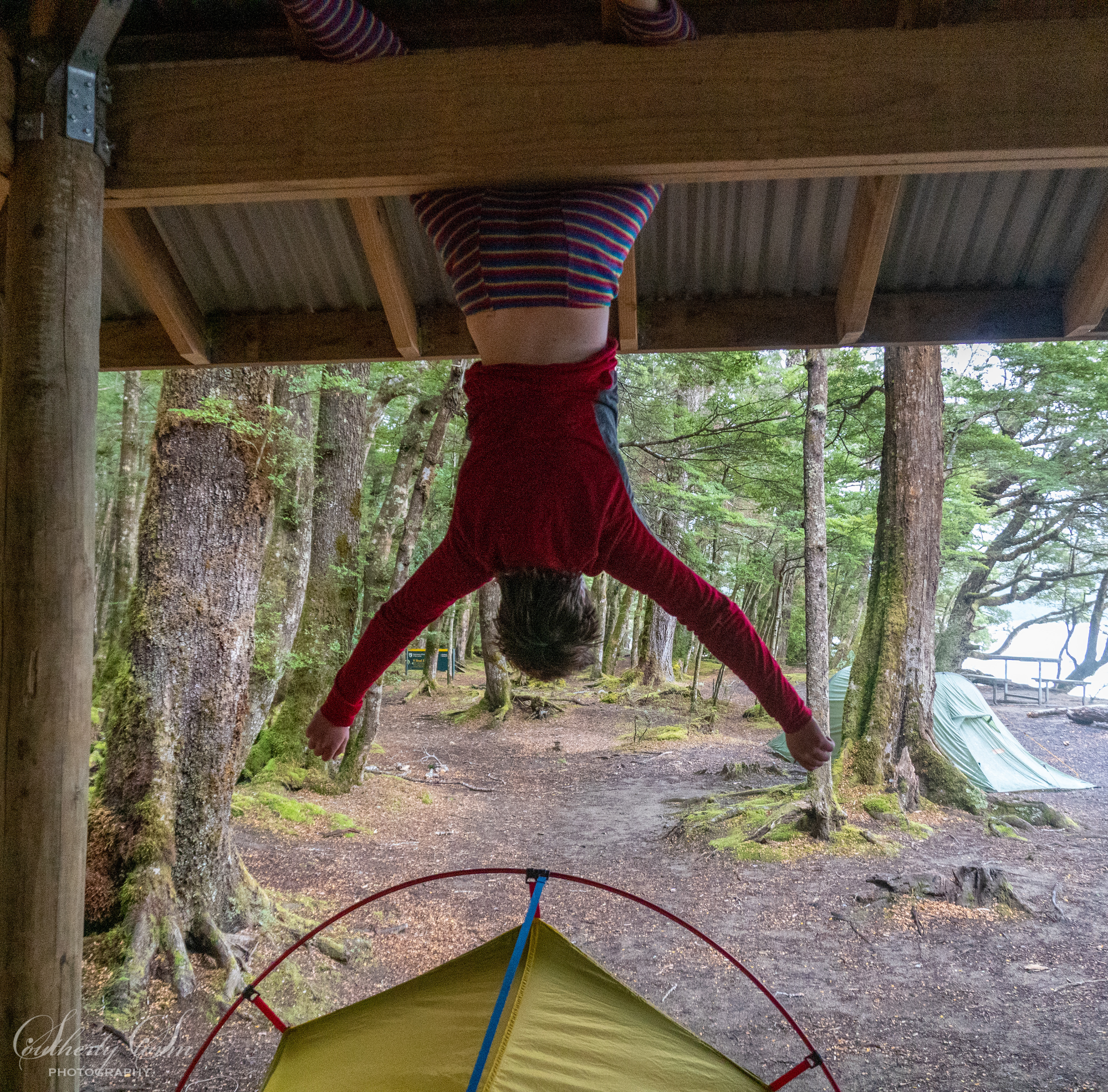 Anna hanging upside down from a beam in the shelter
