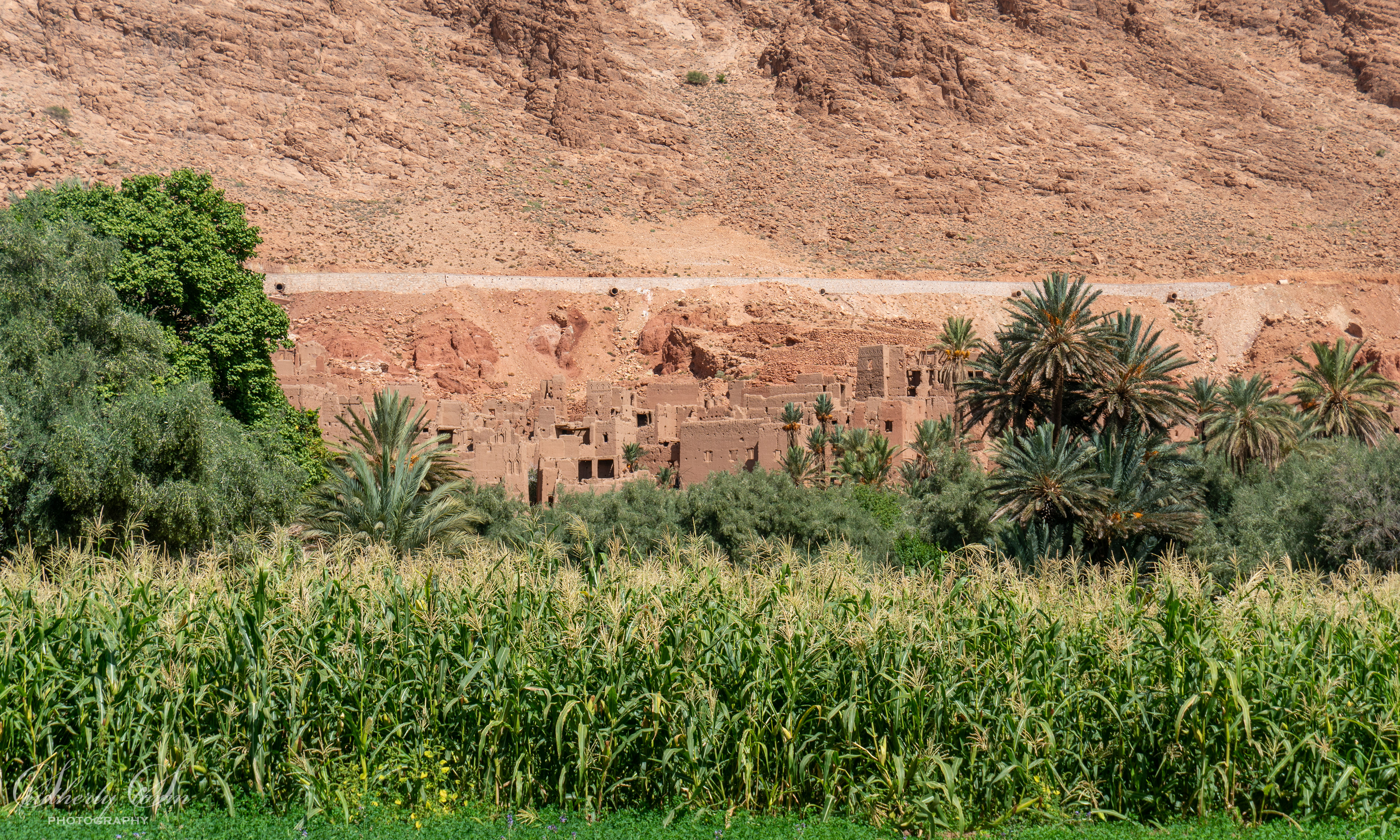 Green and red of Todra Valley