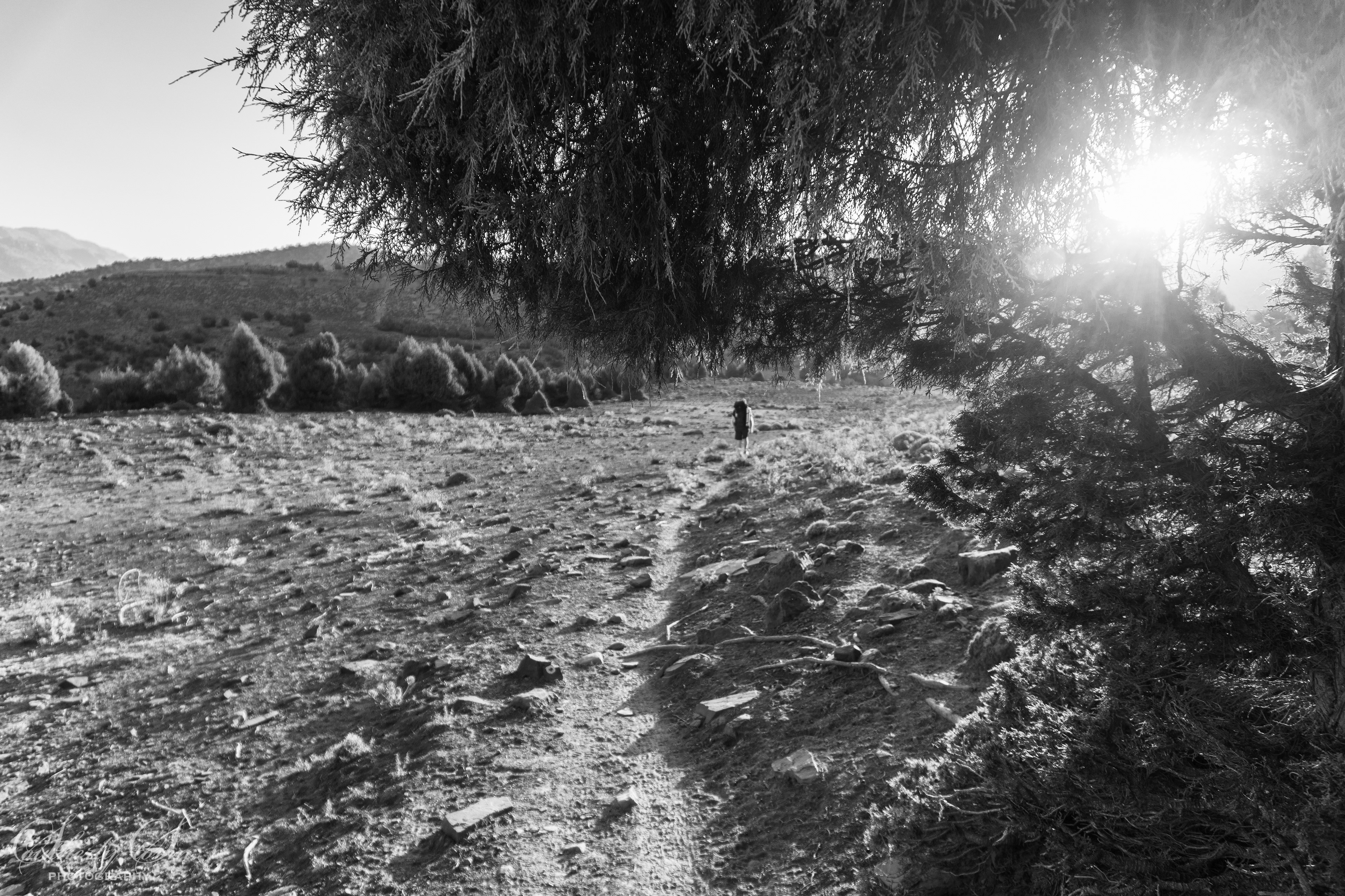 Black and white image of a walking track in Morocco