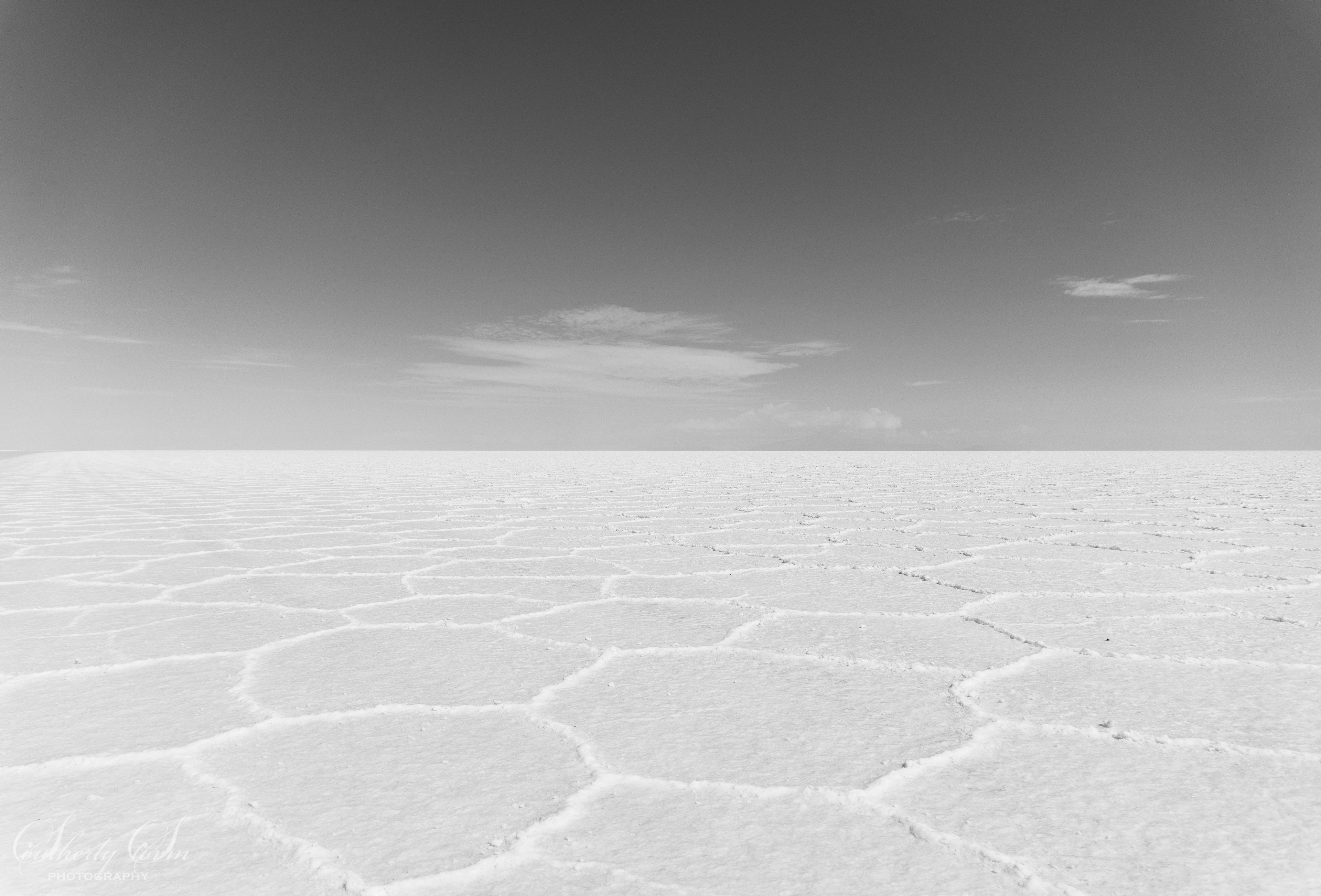 Hexagons on the salt flat