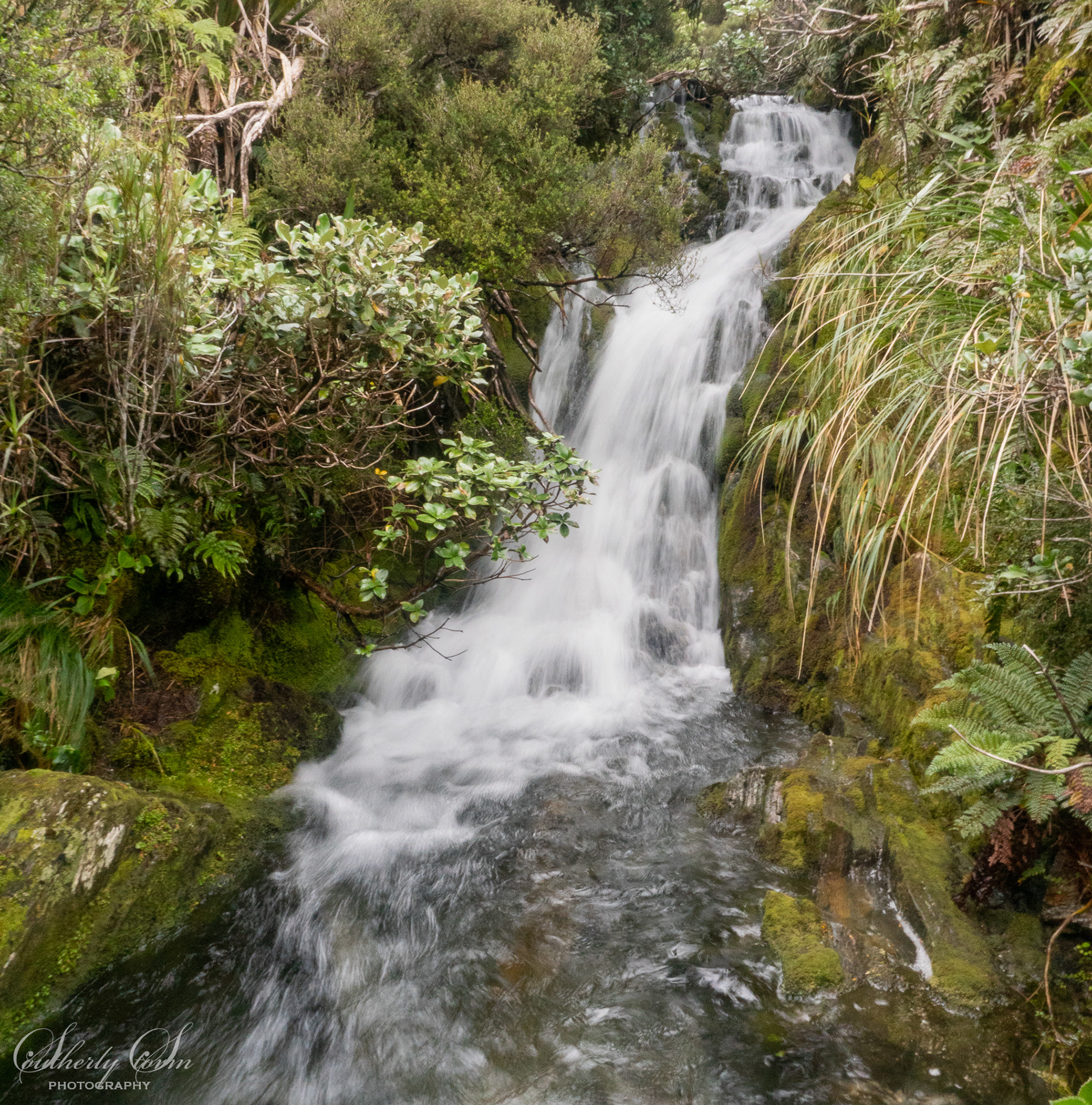 Waterfall in Scrub