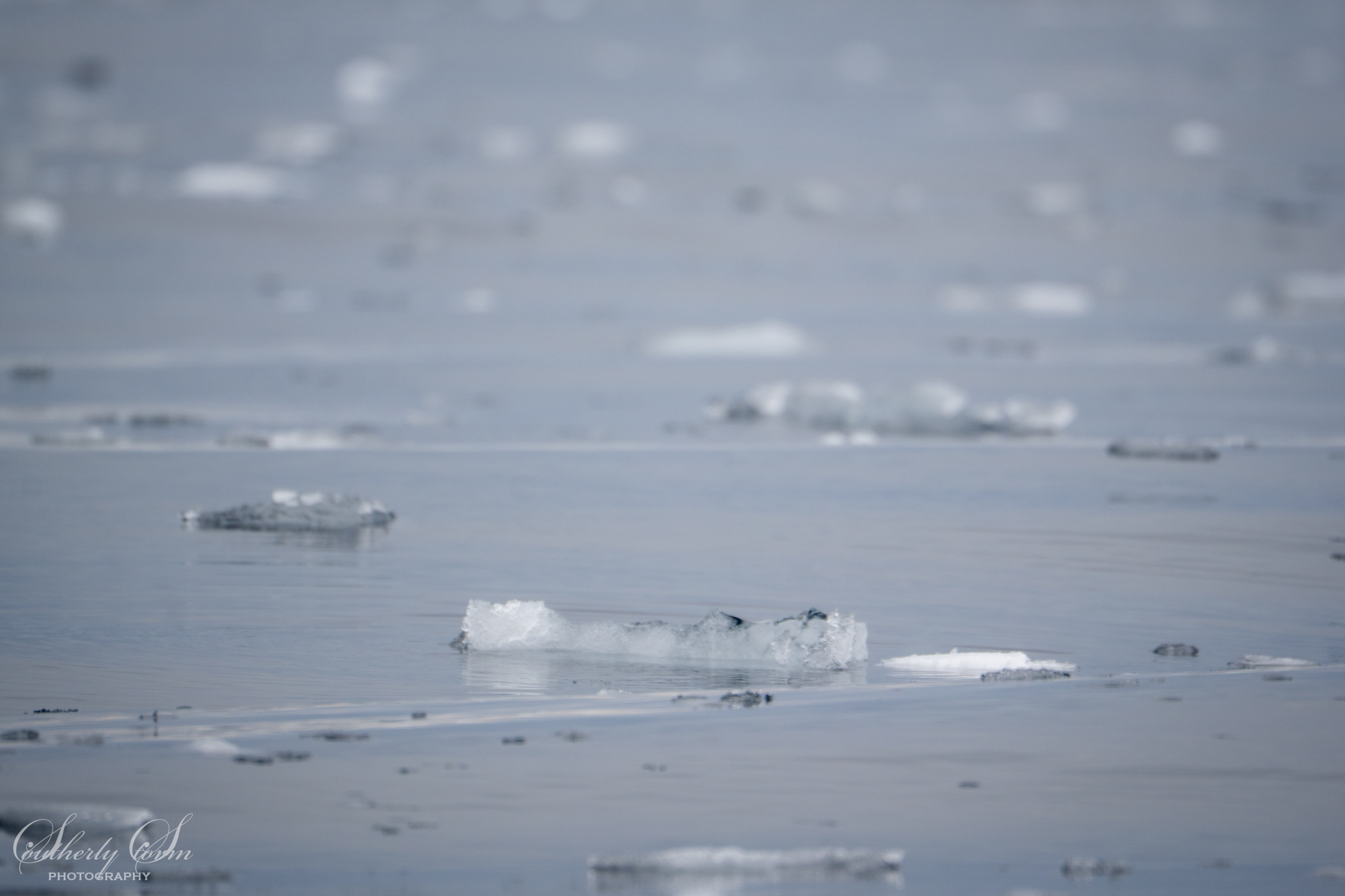 Brash ice