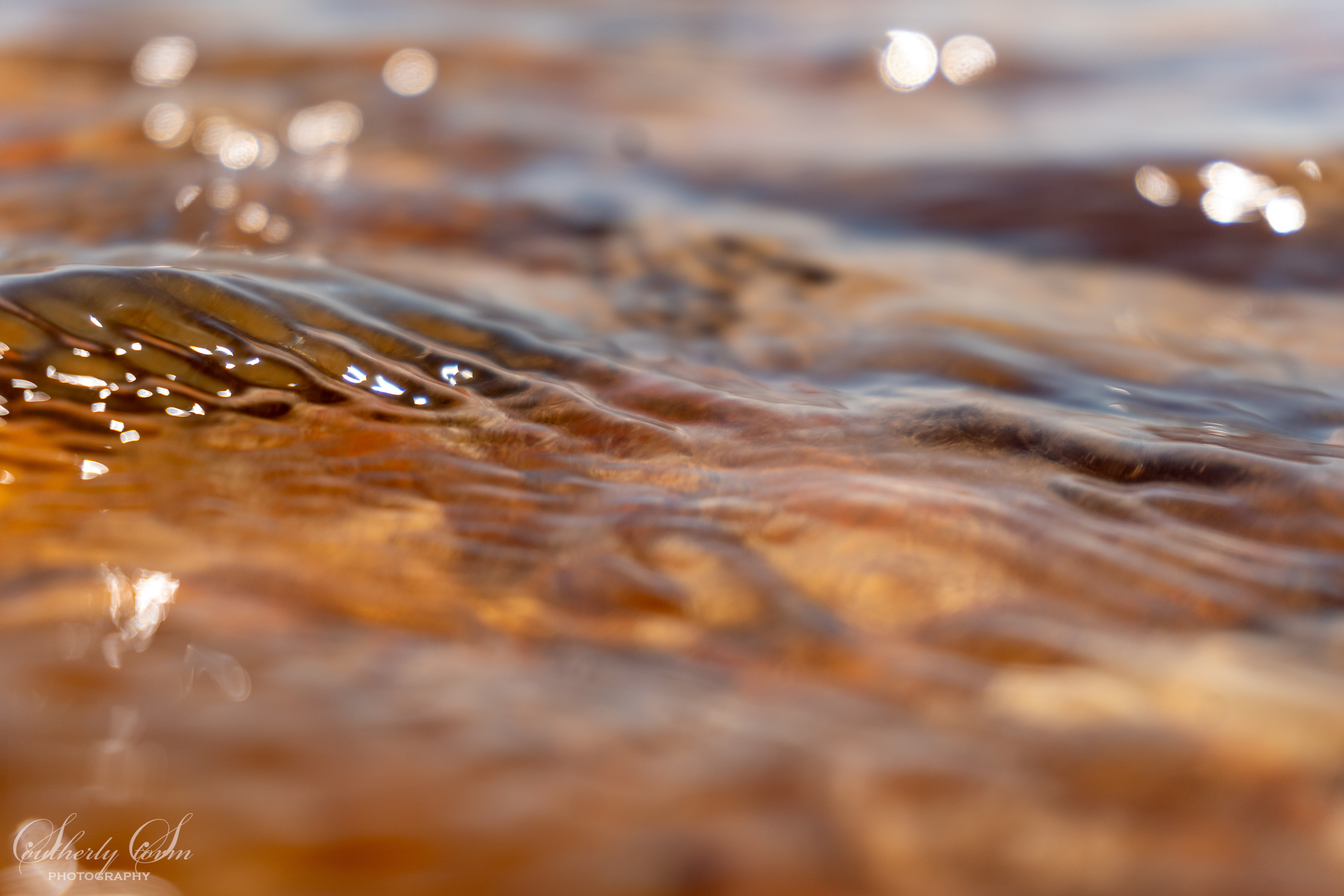 Close up of the dead sea
