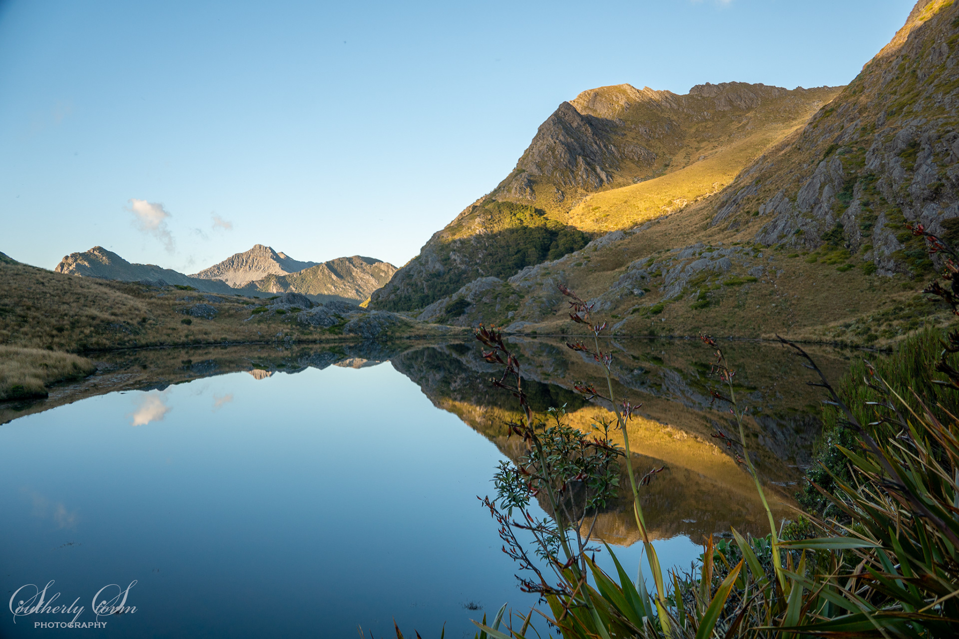 Adelaide Tarn
