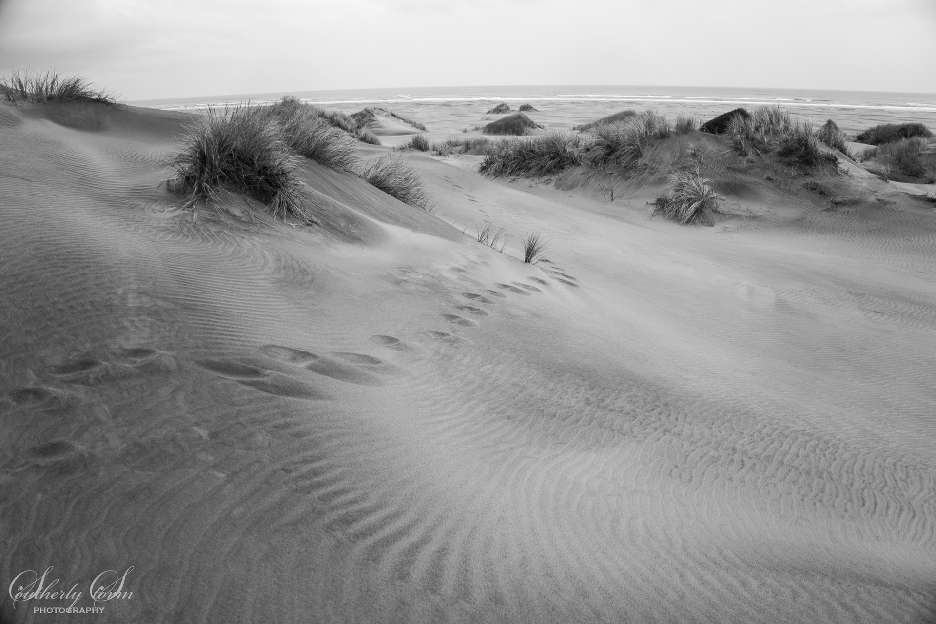 Footsteps on sand, Farewell spit