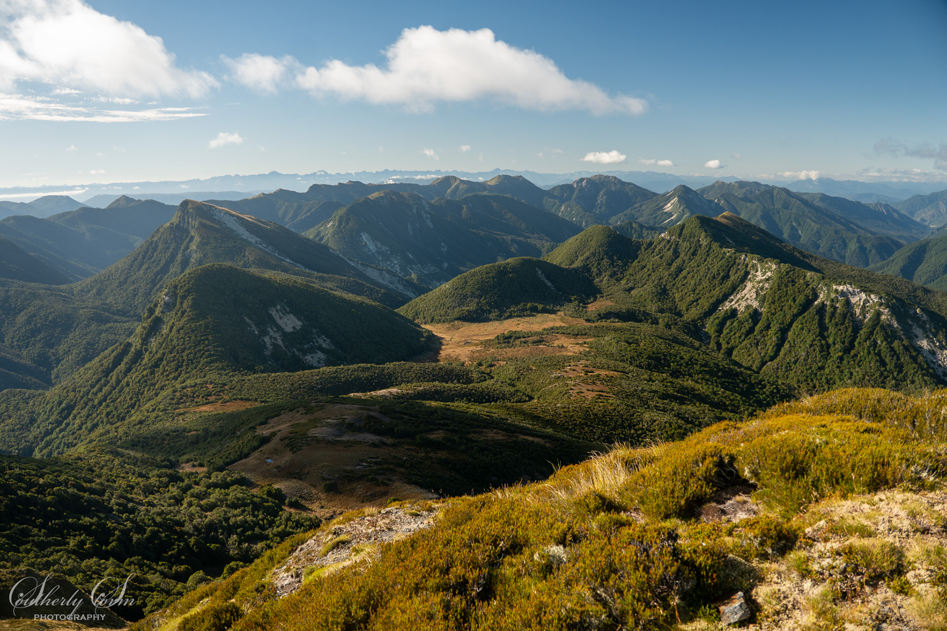 Up above the head of the Matiri Valley