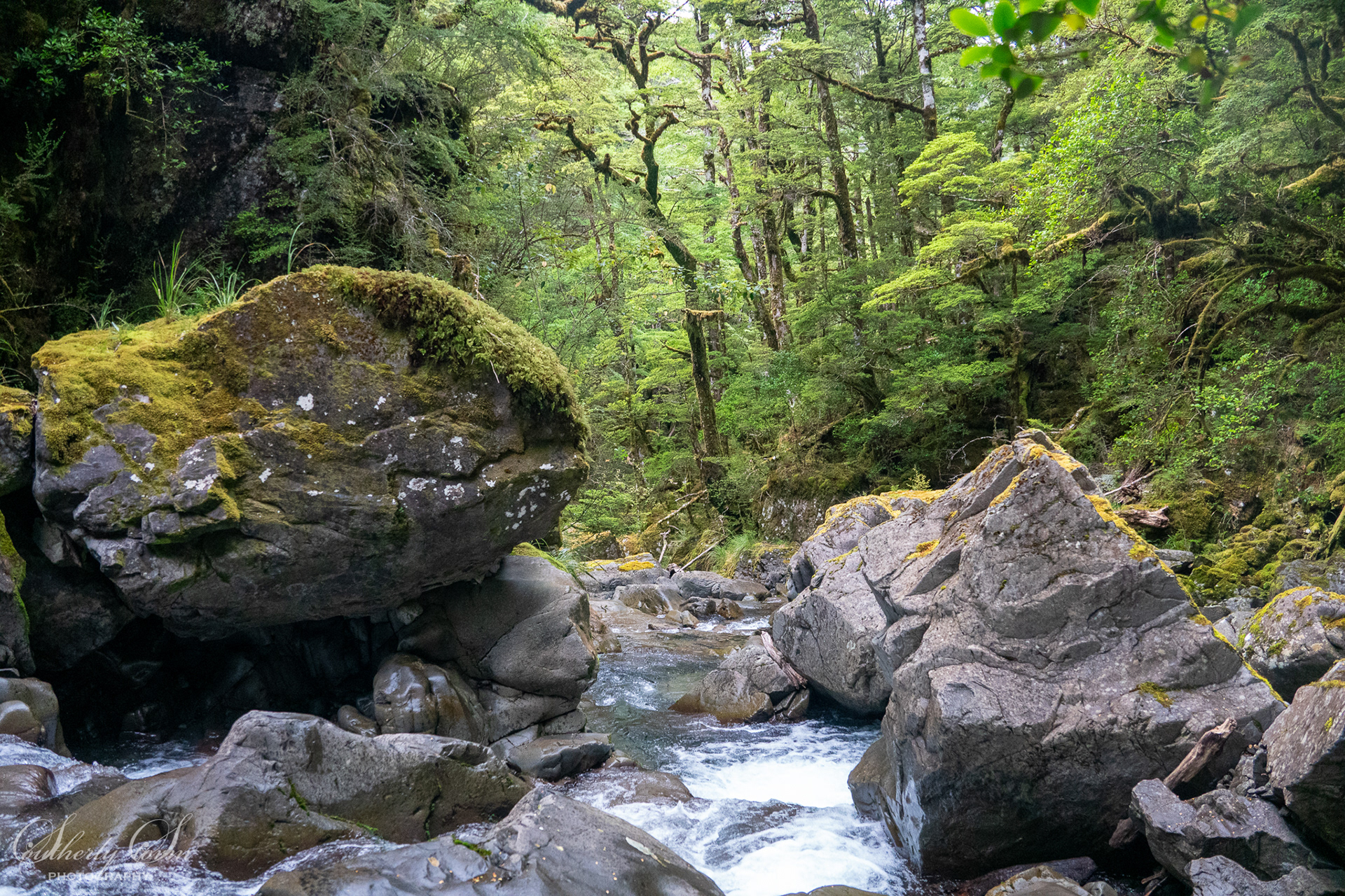 Beautiful creek travel
