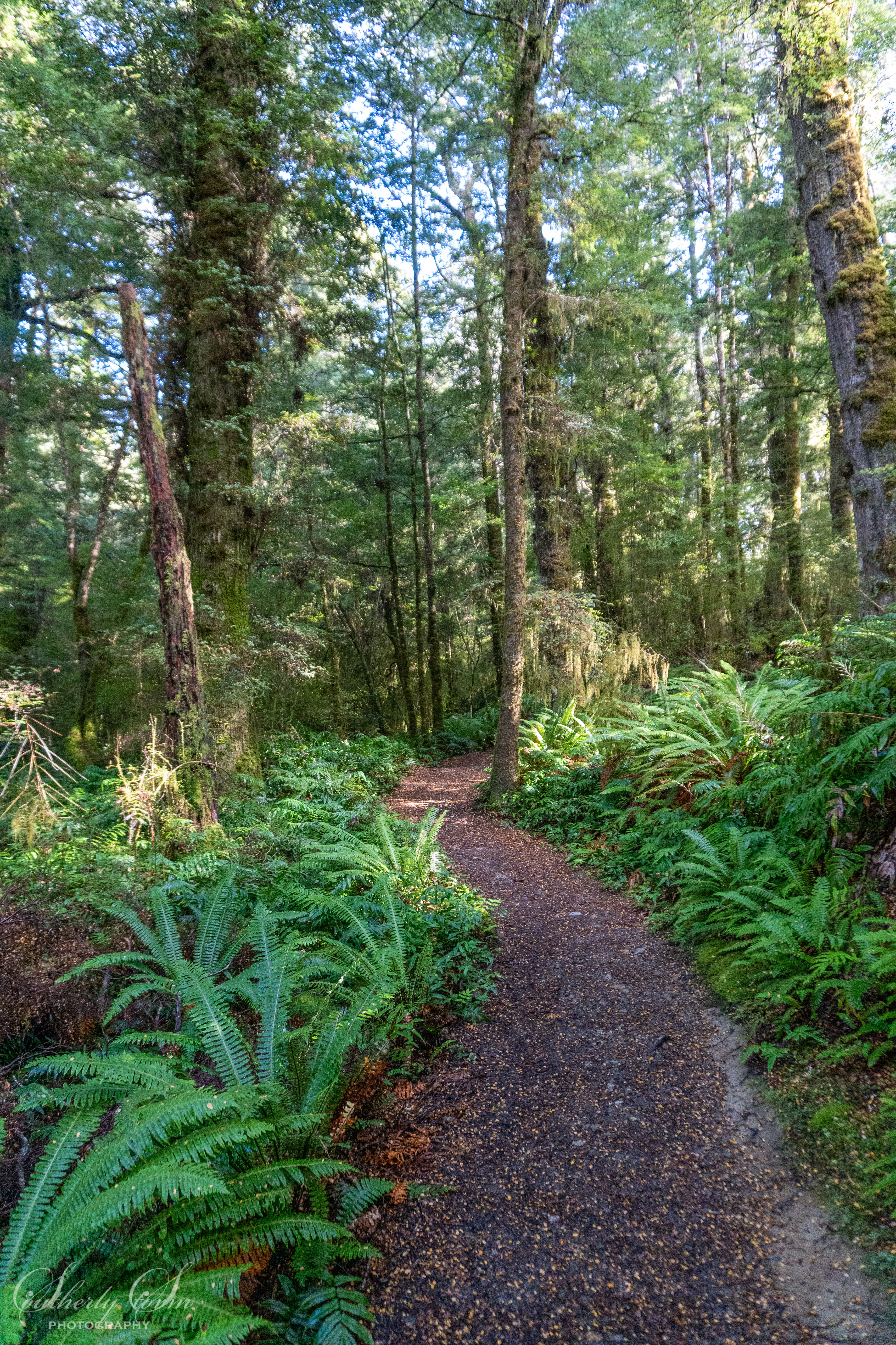 The Kepler Track