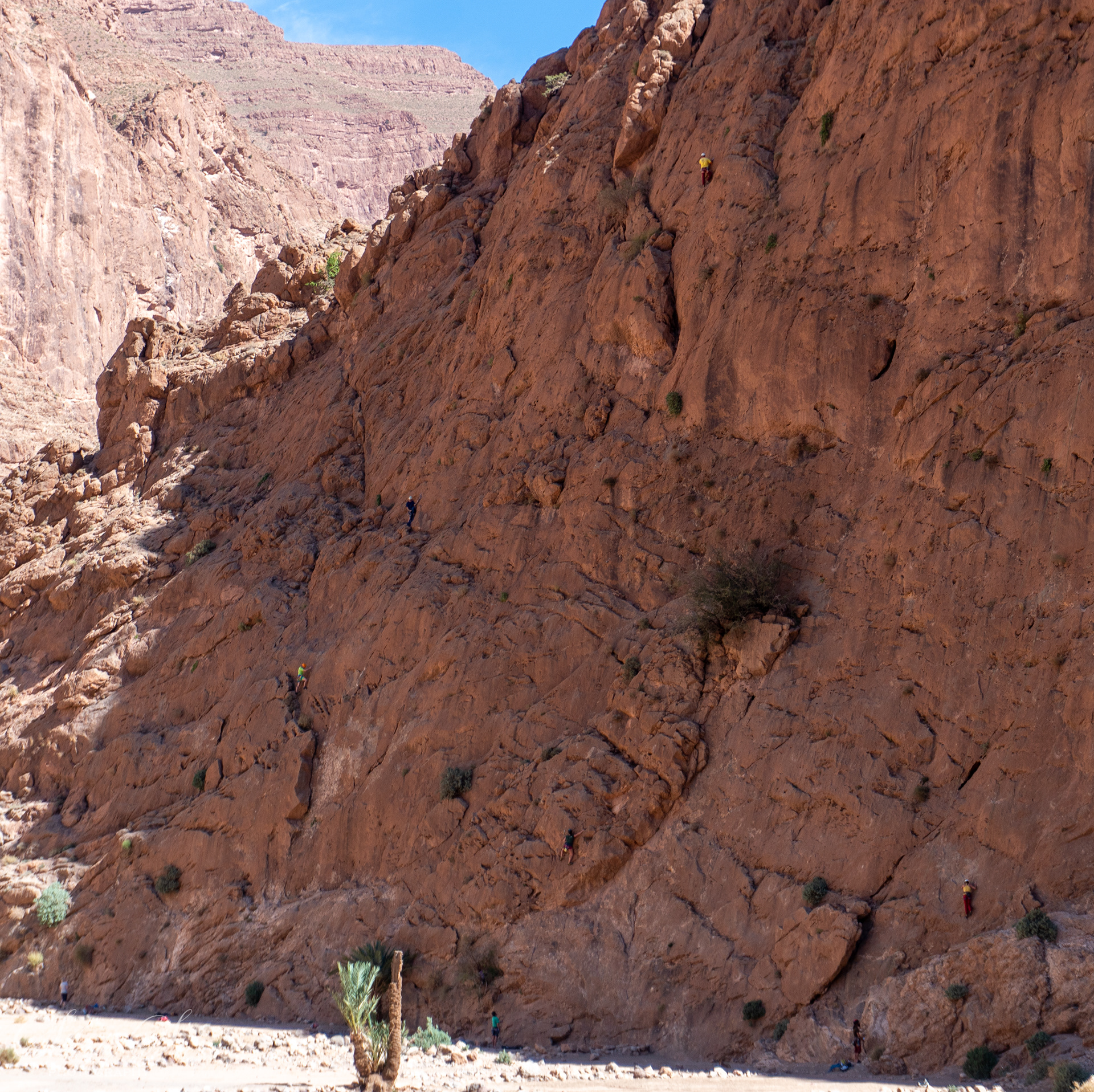 Rock climbers in Todra Gorge