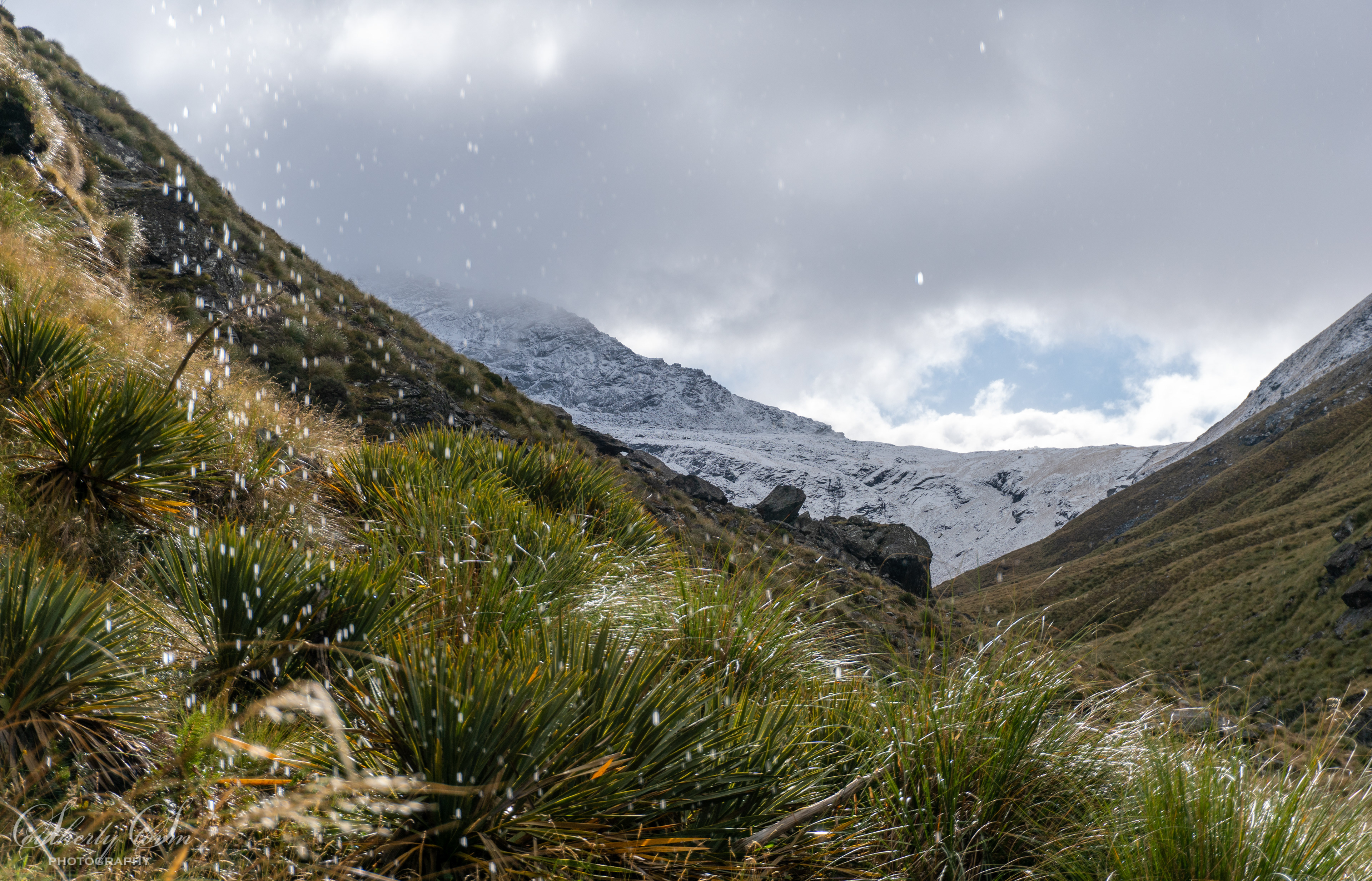 Photo from under a rock overhang, rain drops, spaniards and snow feature