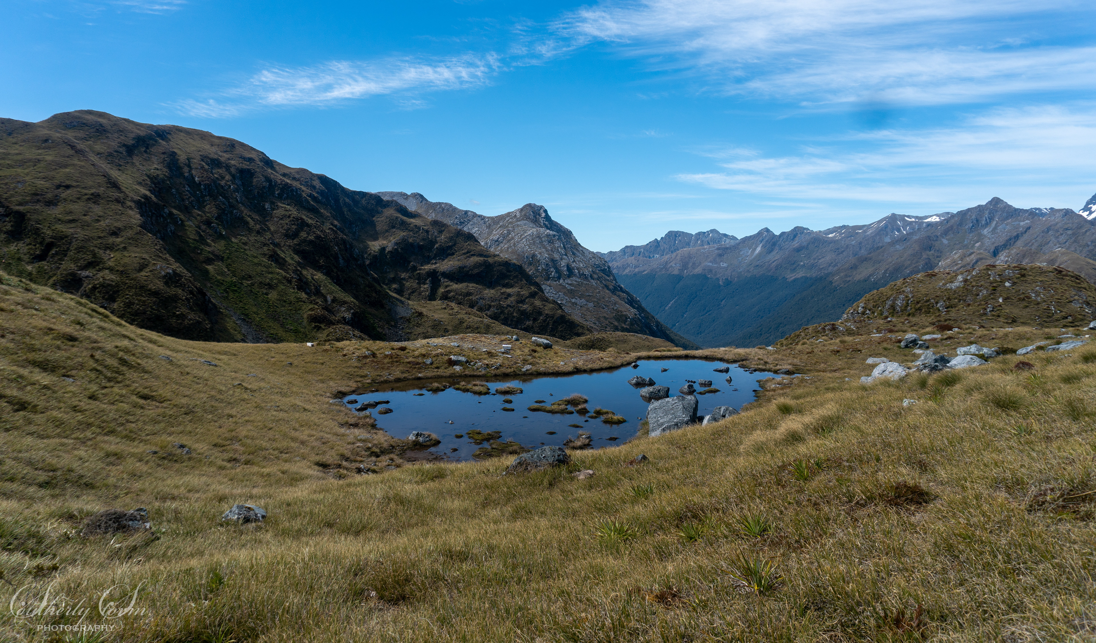 Tarn and tussock
