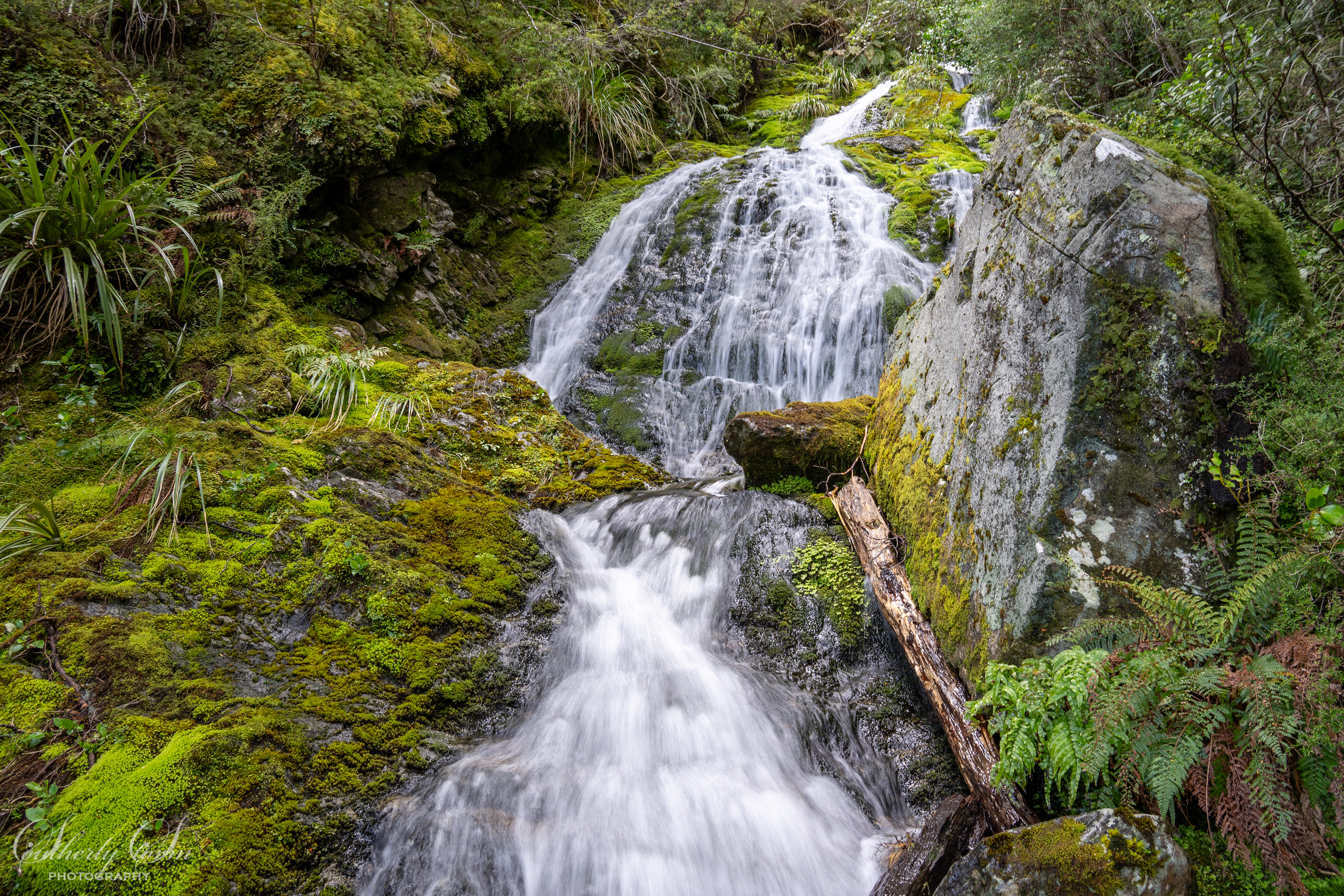Rockburn Valley