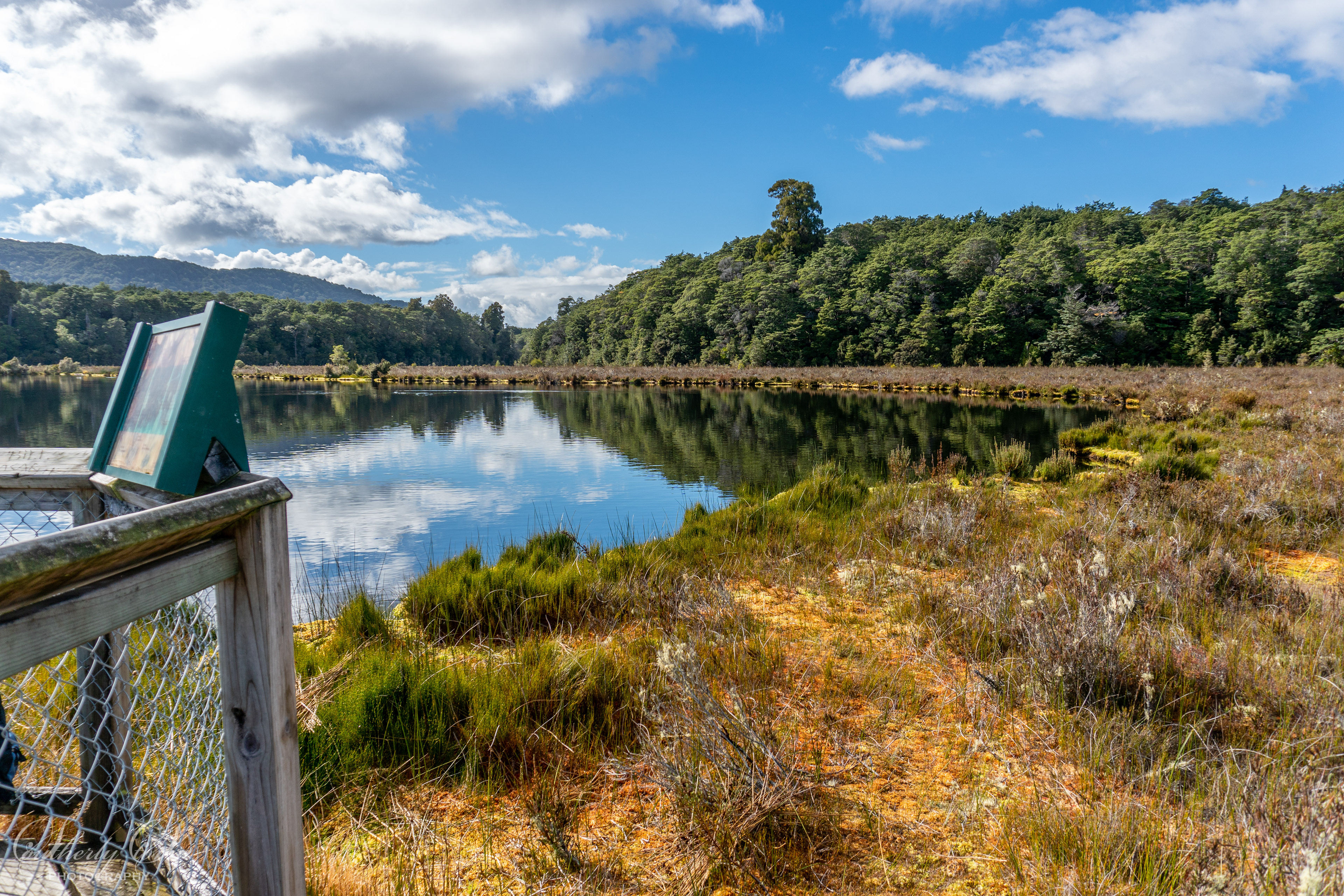 Wetland lookout