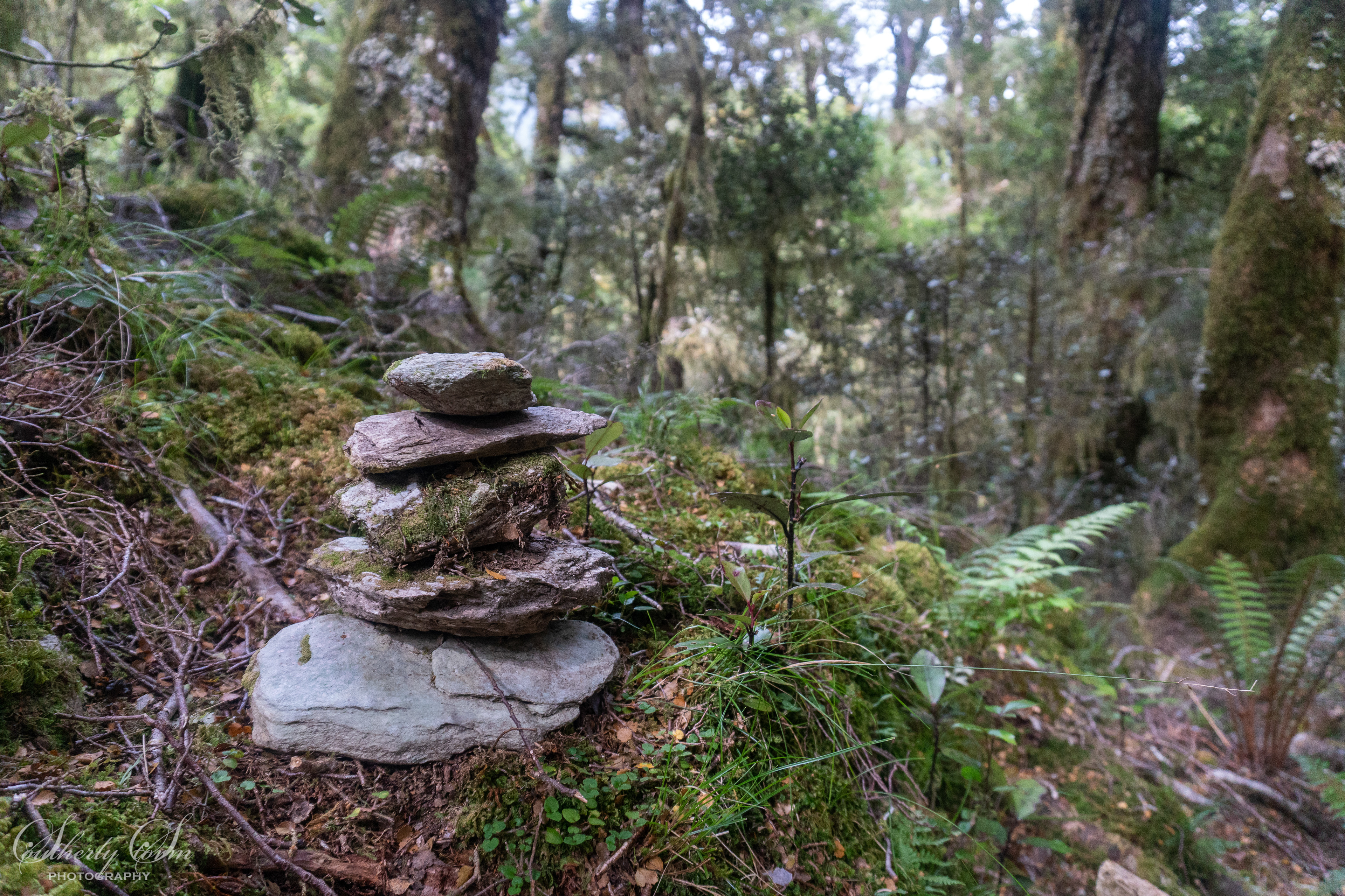 Cairn in the bush