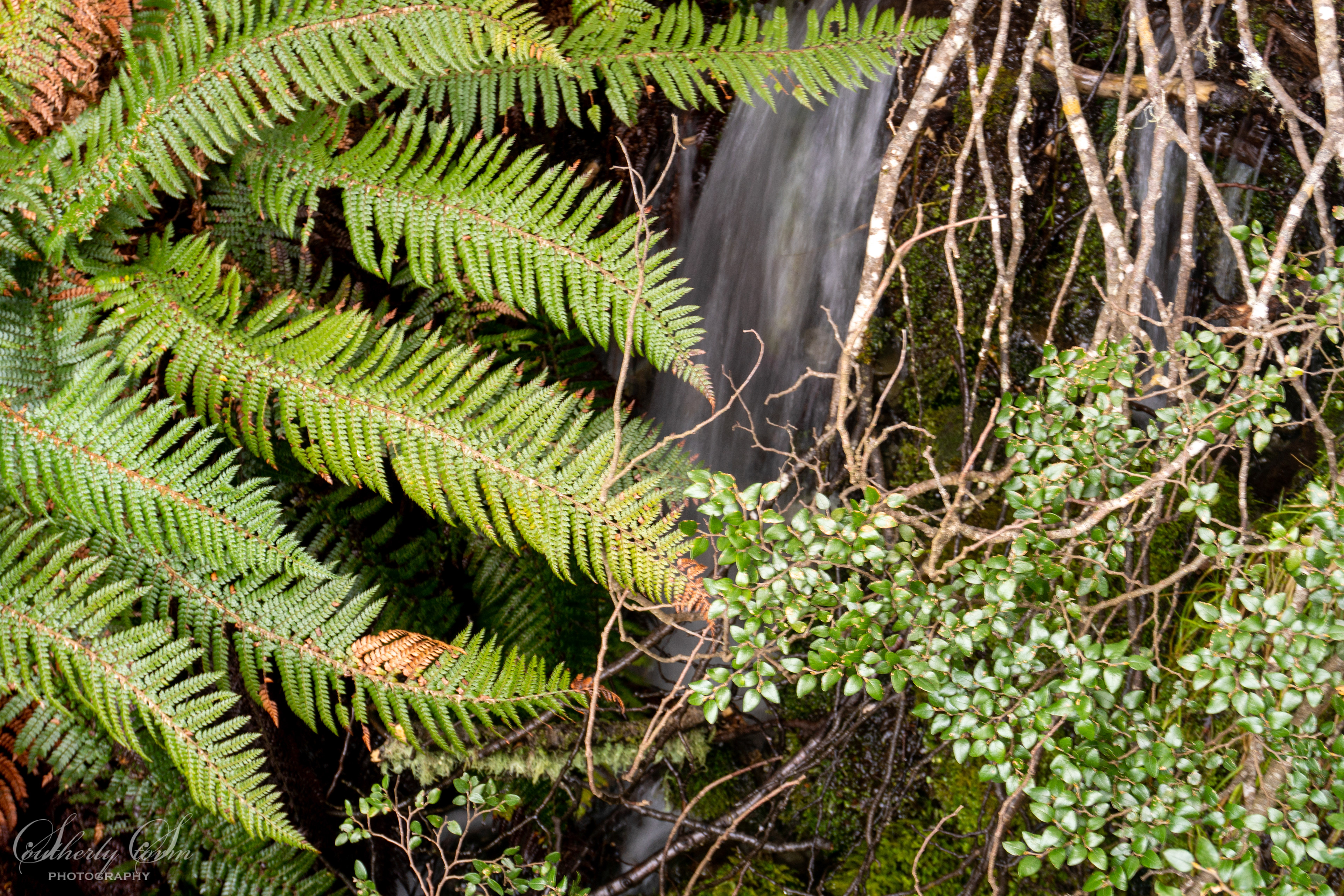 Waterfall in the bush