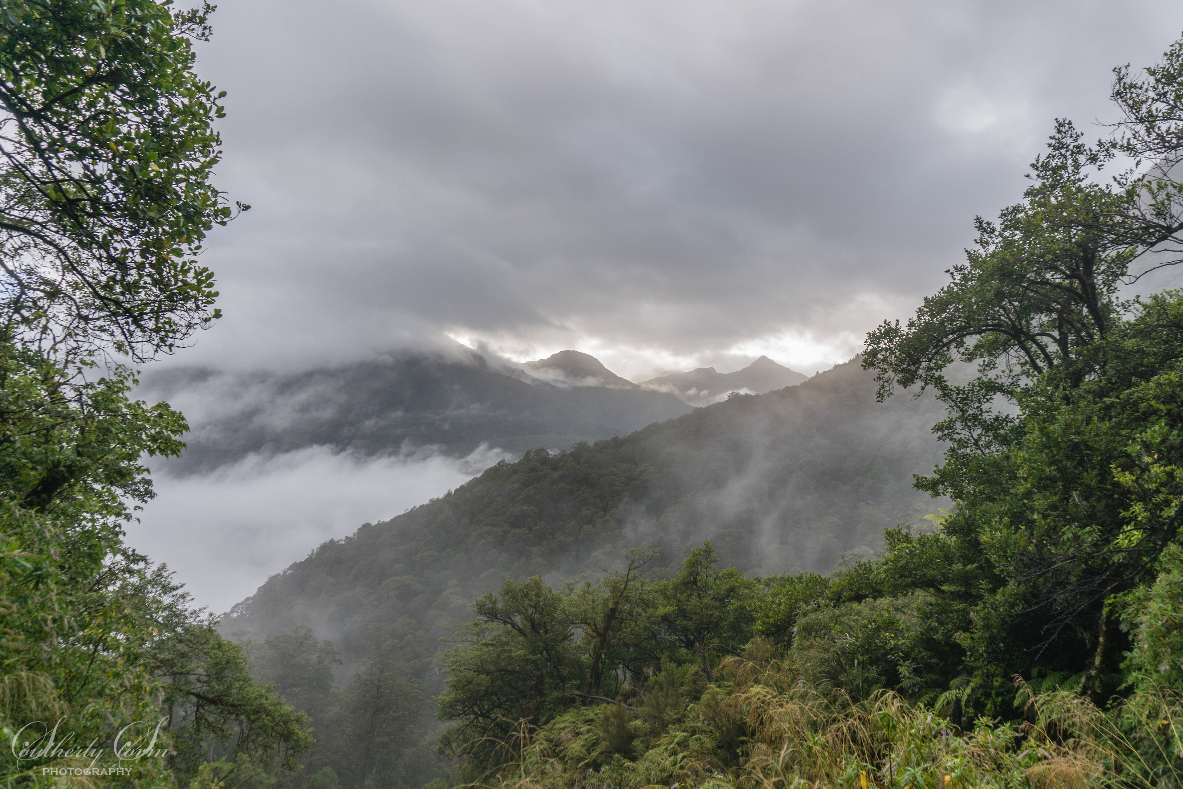 Forested hills and mist