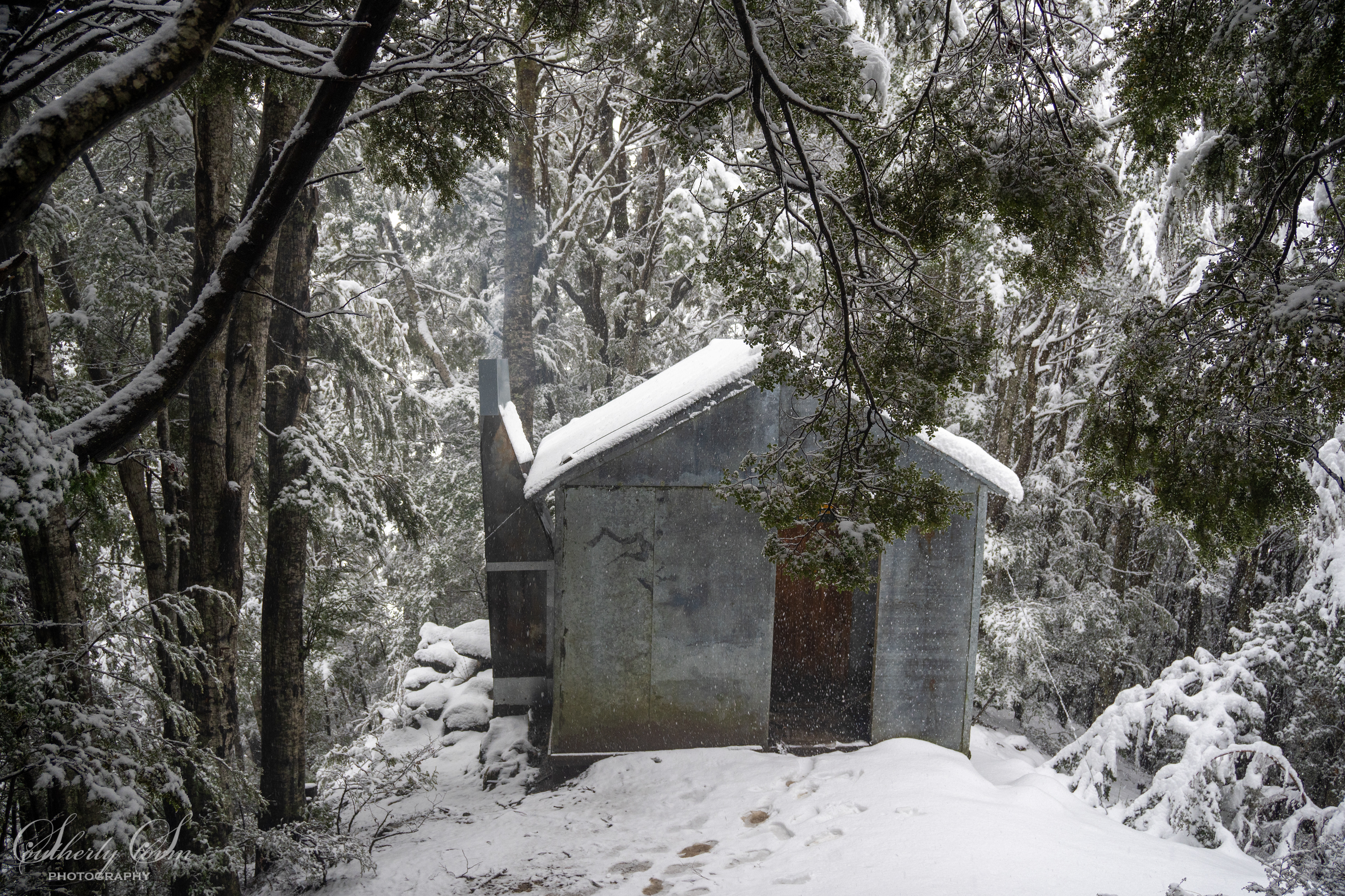 Sawyer Burn Hut in the snowy forest