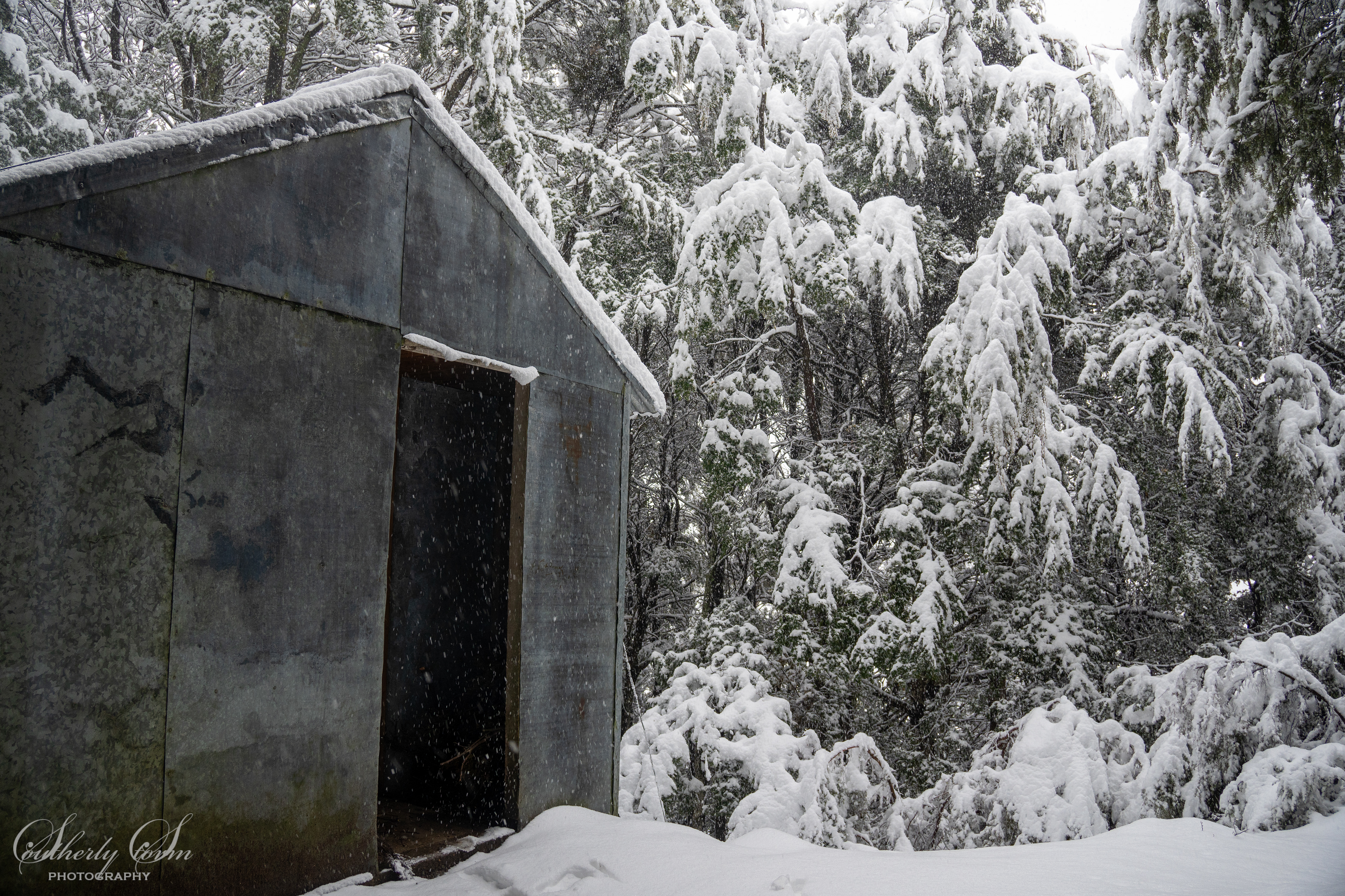 Snow at Sawyer Burn Hut