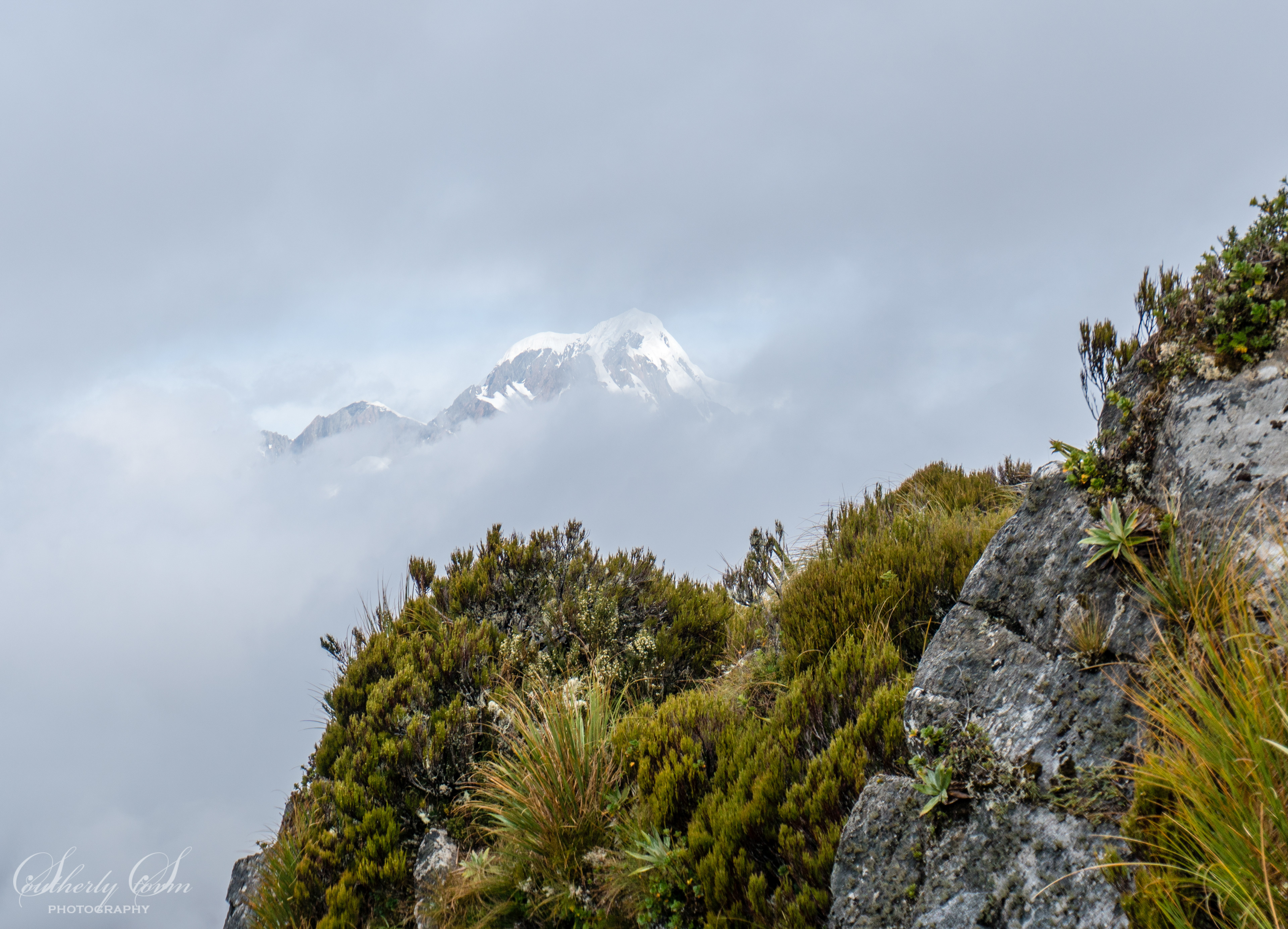 Mt Tasman peeks through the clouds